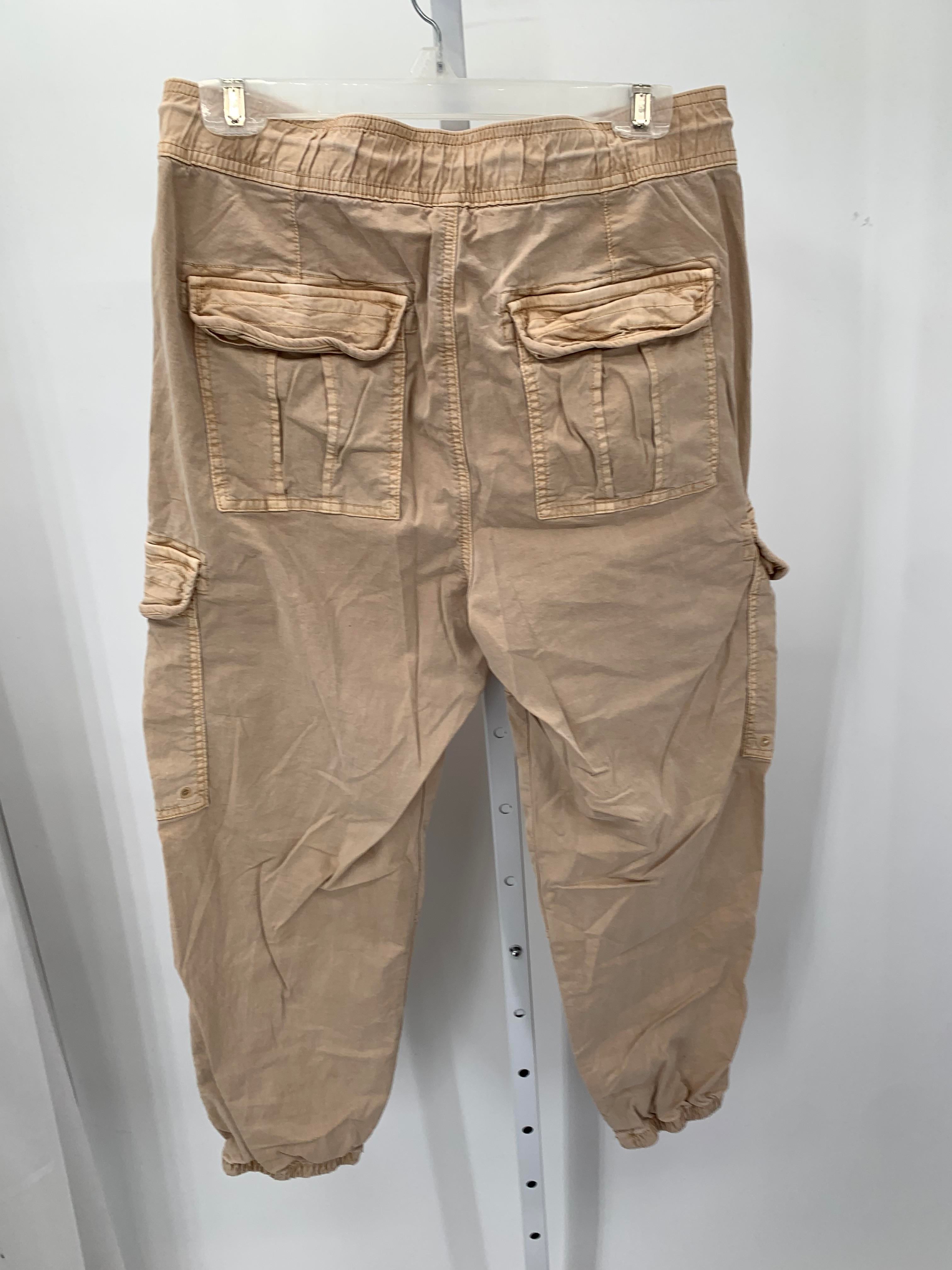 American Eagle Size 12 Short Juniors Pants