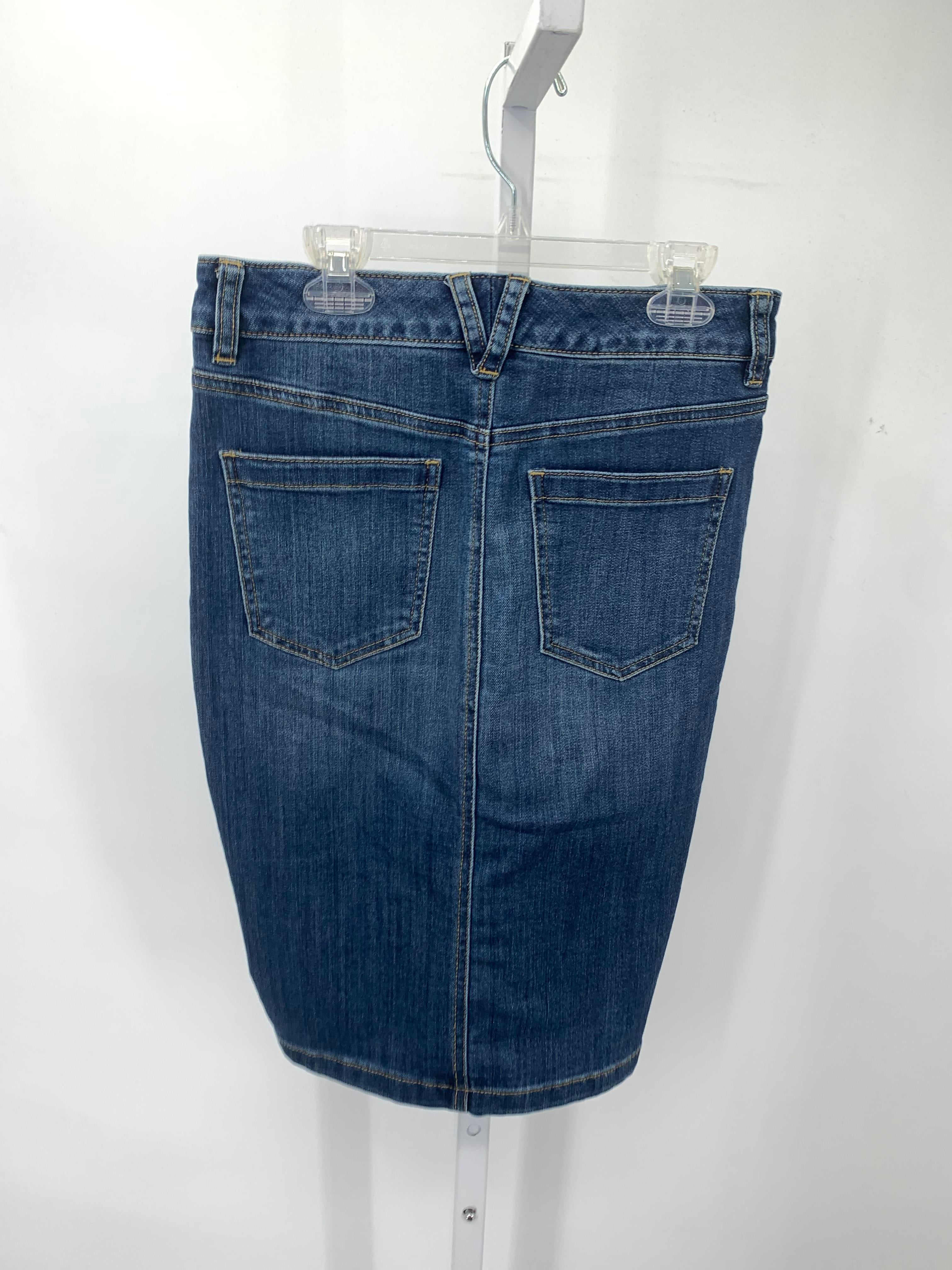 The Limited Size 2 Misses Skirt