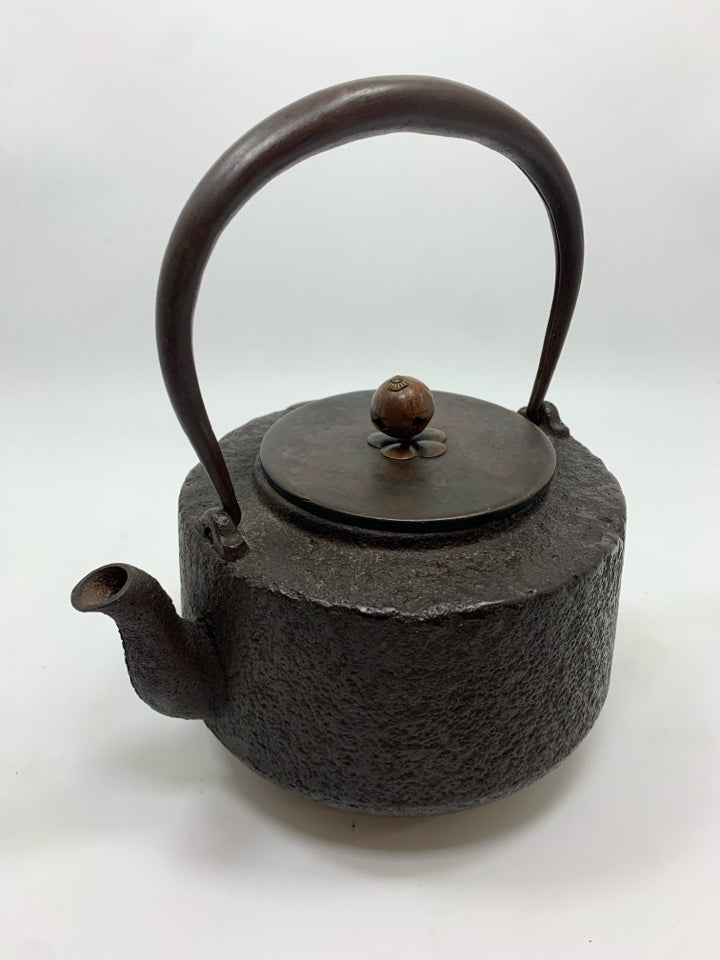 CAST IRON WOOD STOVE TEAPOT.