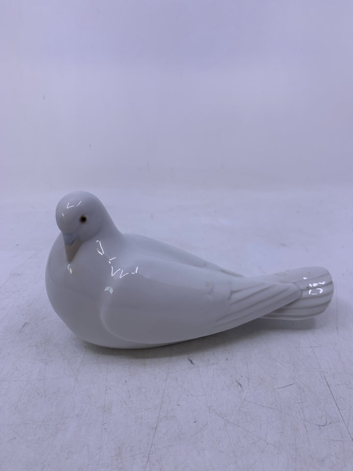 WHITE DOVE LAYING DOWN.