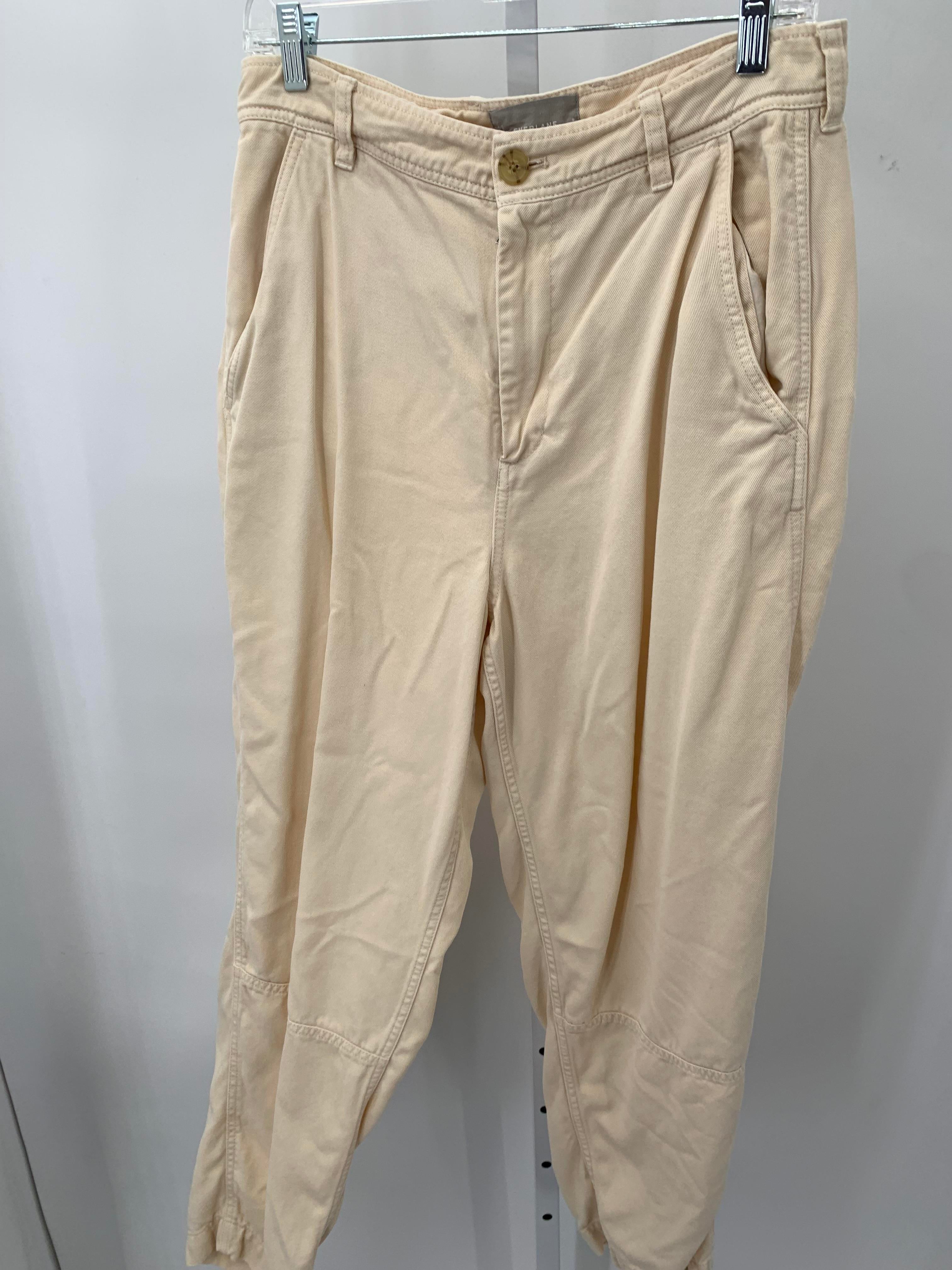 Everlane Size 8 Misses Pants