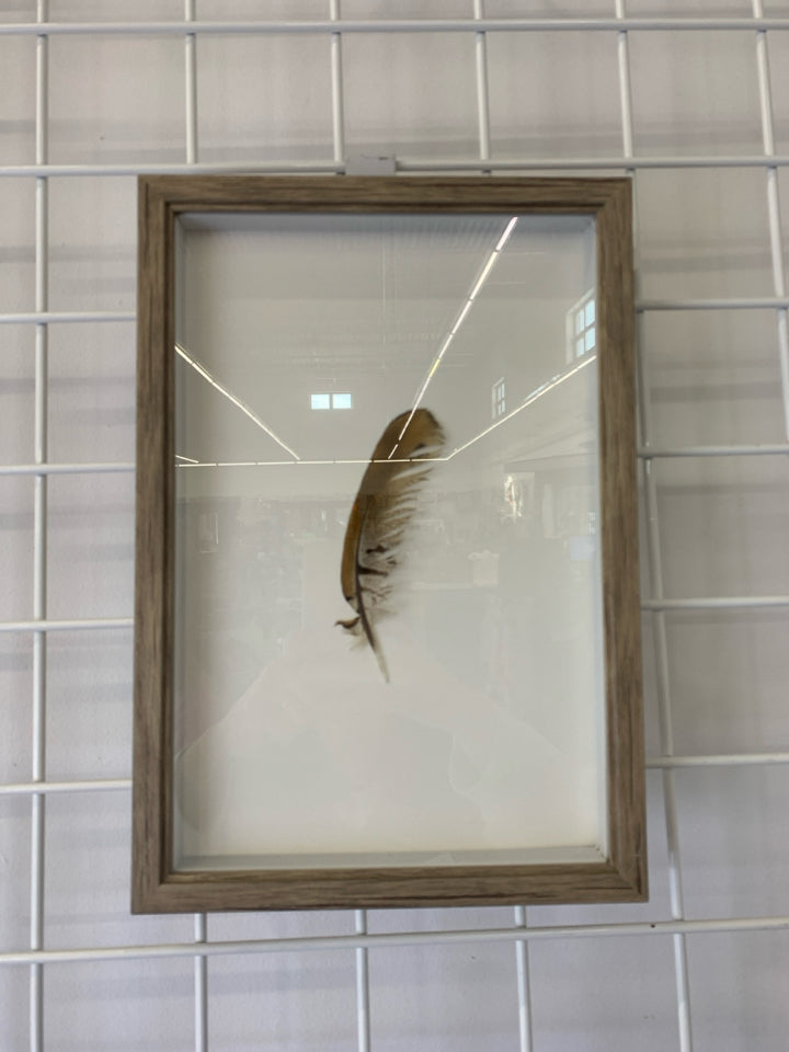 BROWN FEATHER IN A WOODEN FRAME.