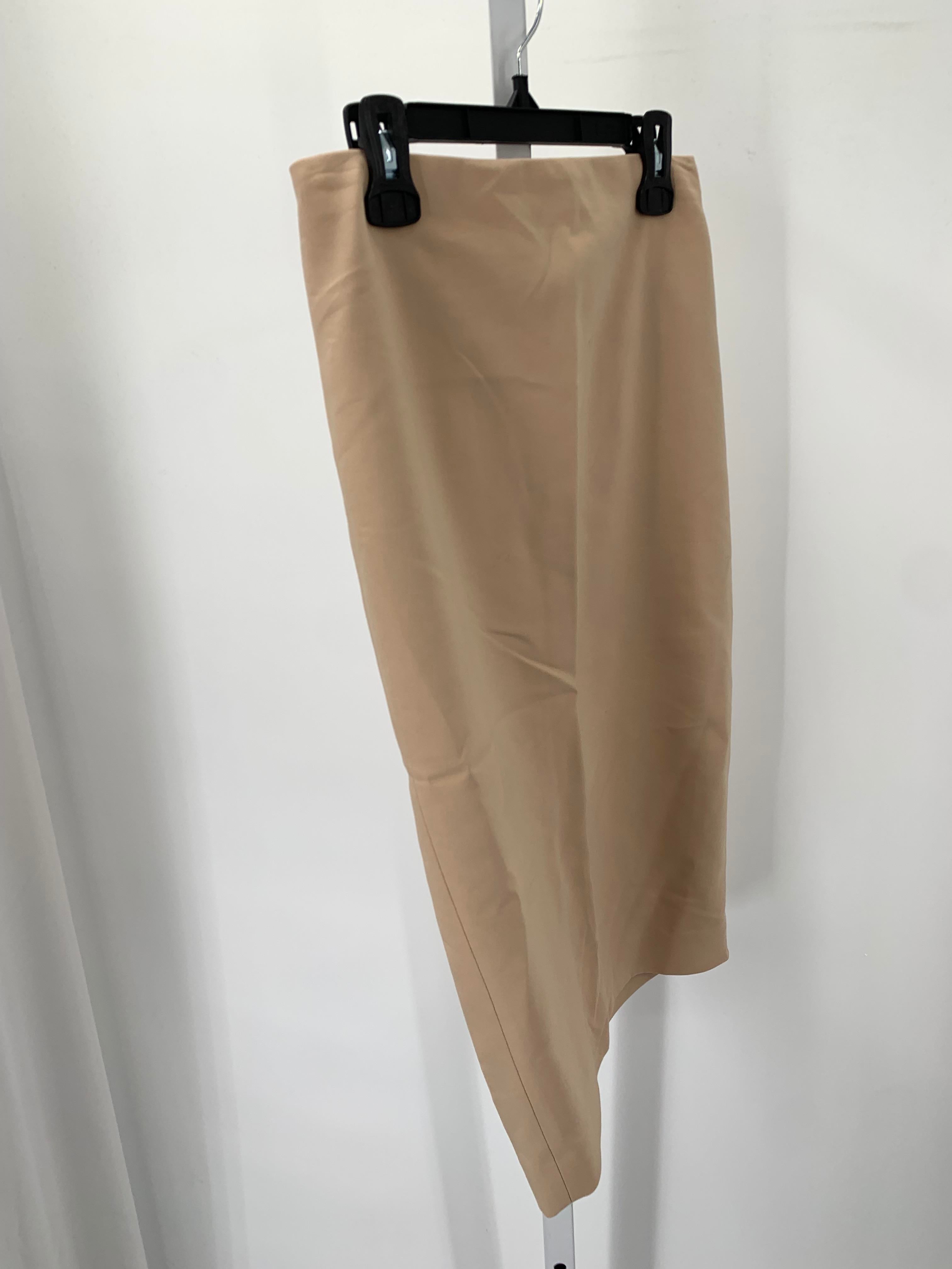 Express Size 00 Misses Skirt