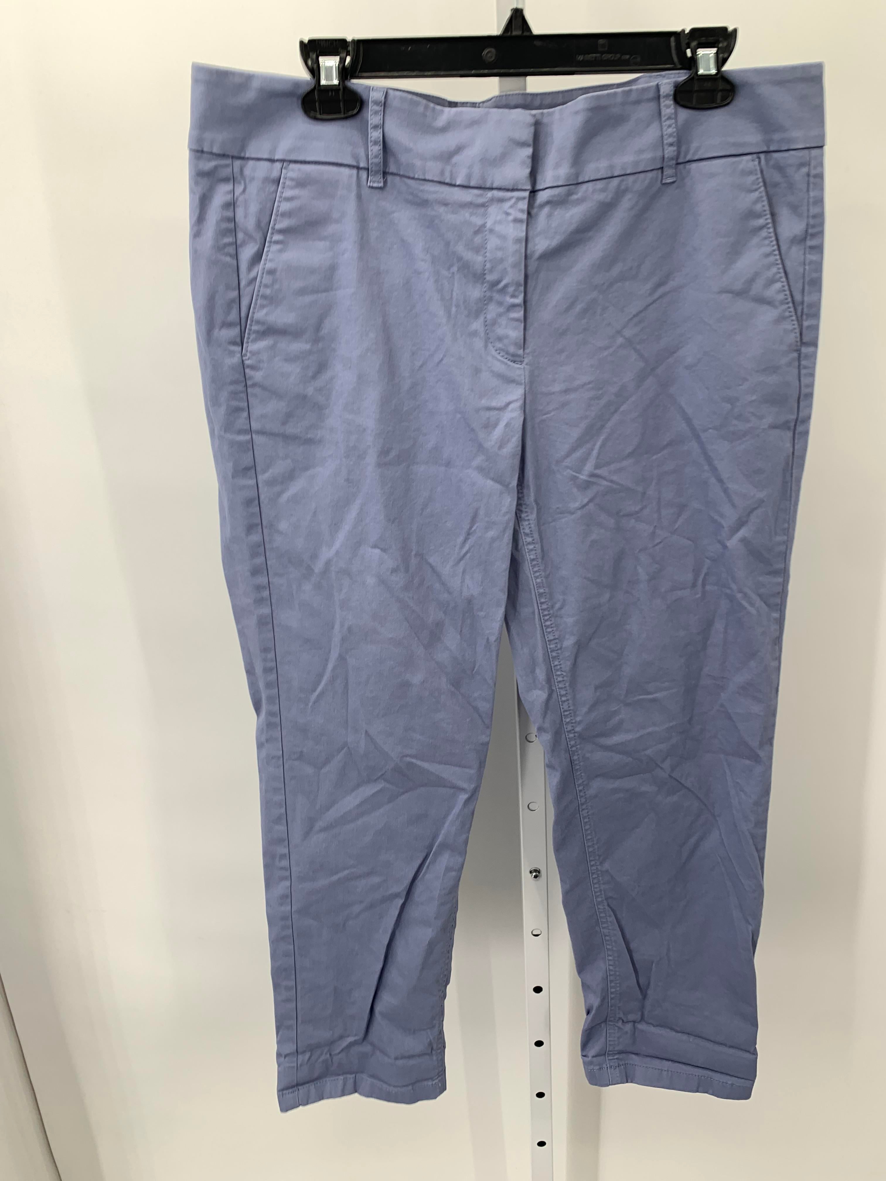 Loft Size 12 Misses Pants