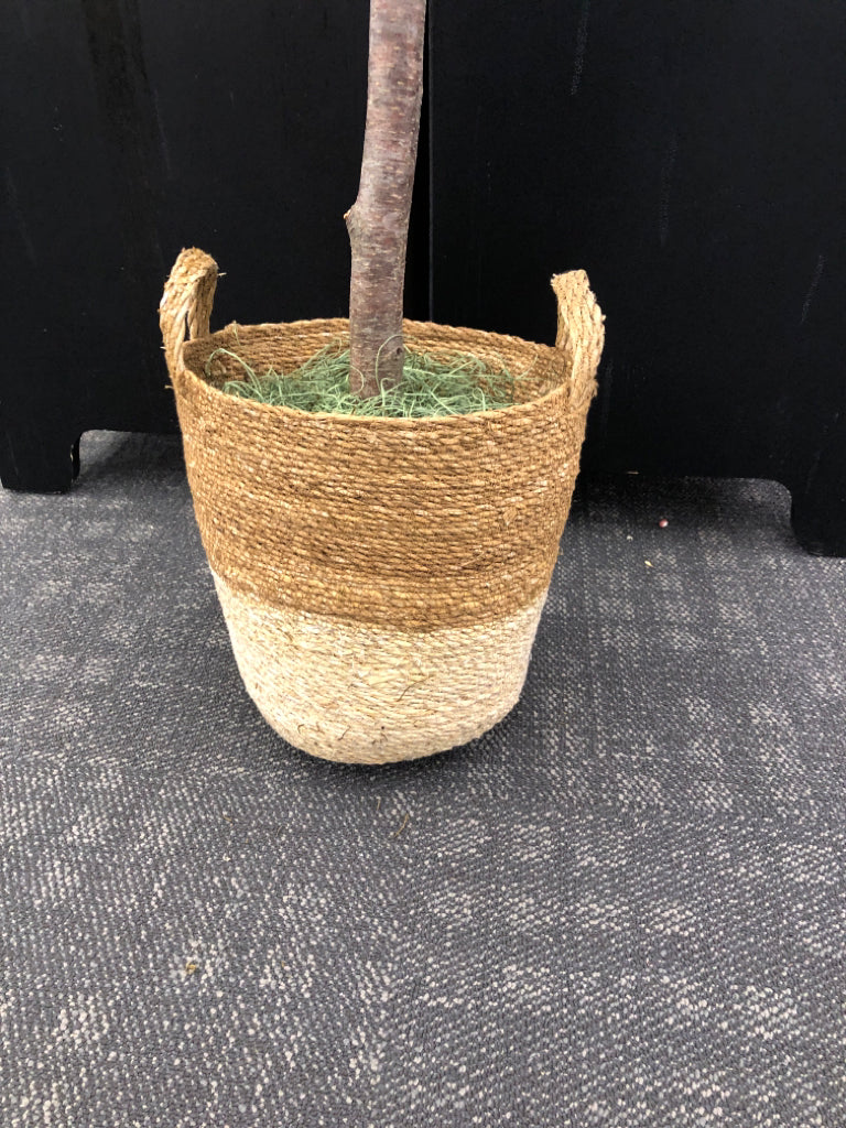 FAUX TREE IN WOVEN 2 TONED BASKET.