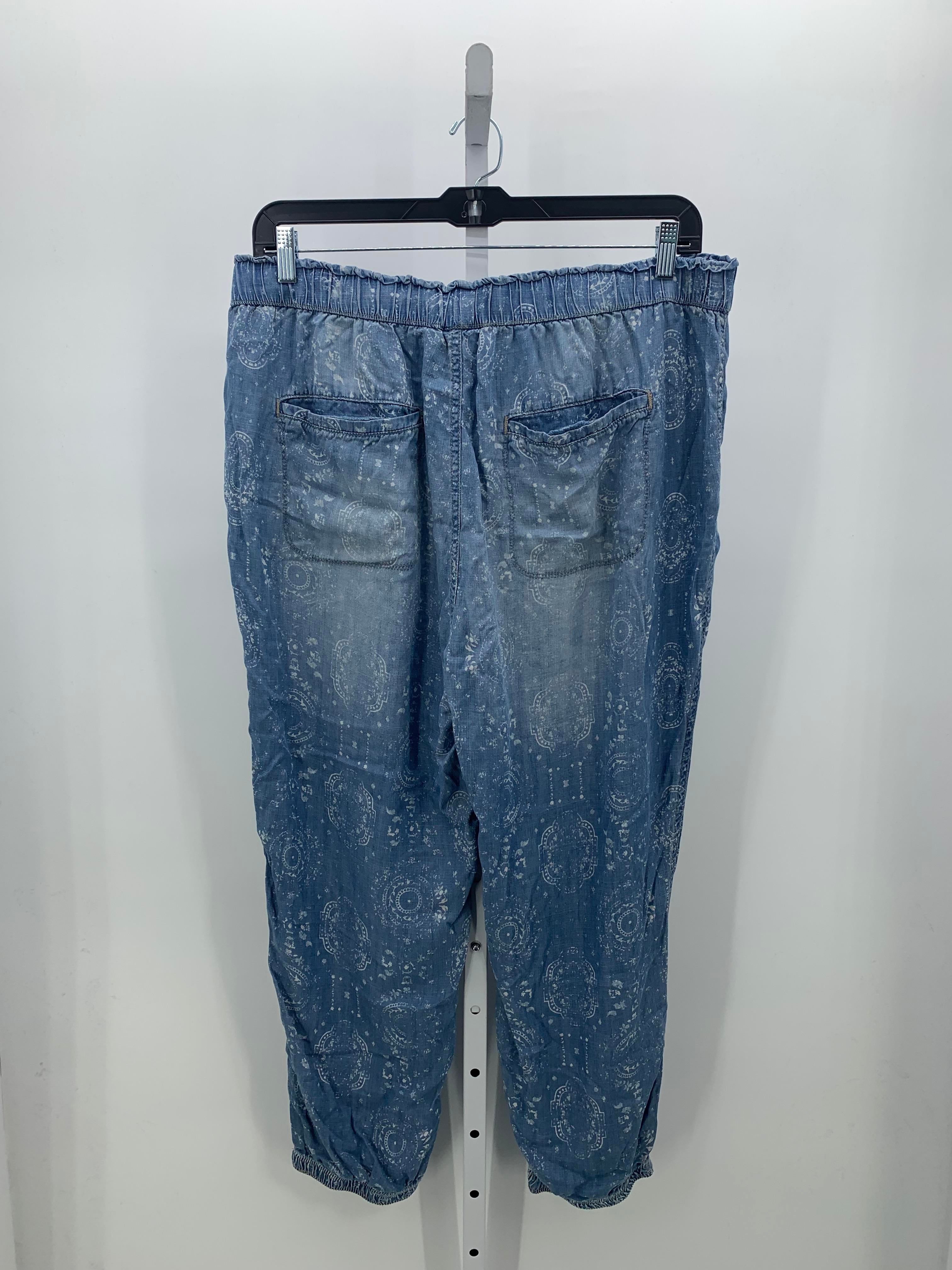 Knox Rose Size XXL Misses Pants