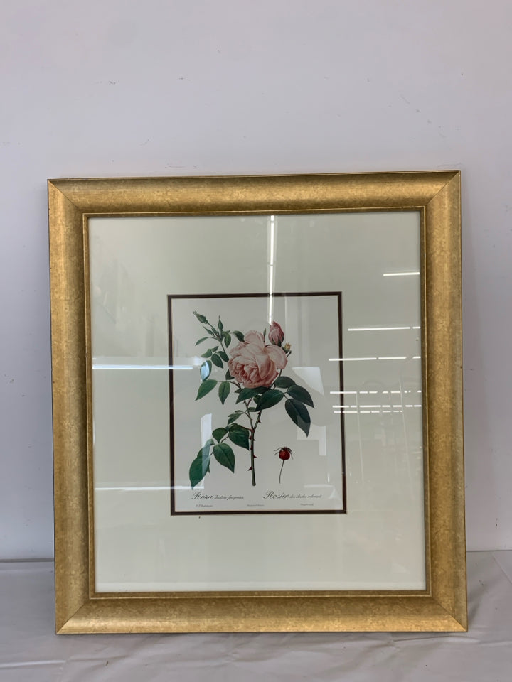 ROSE IN GOLD FRAME WALL HANGING.