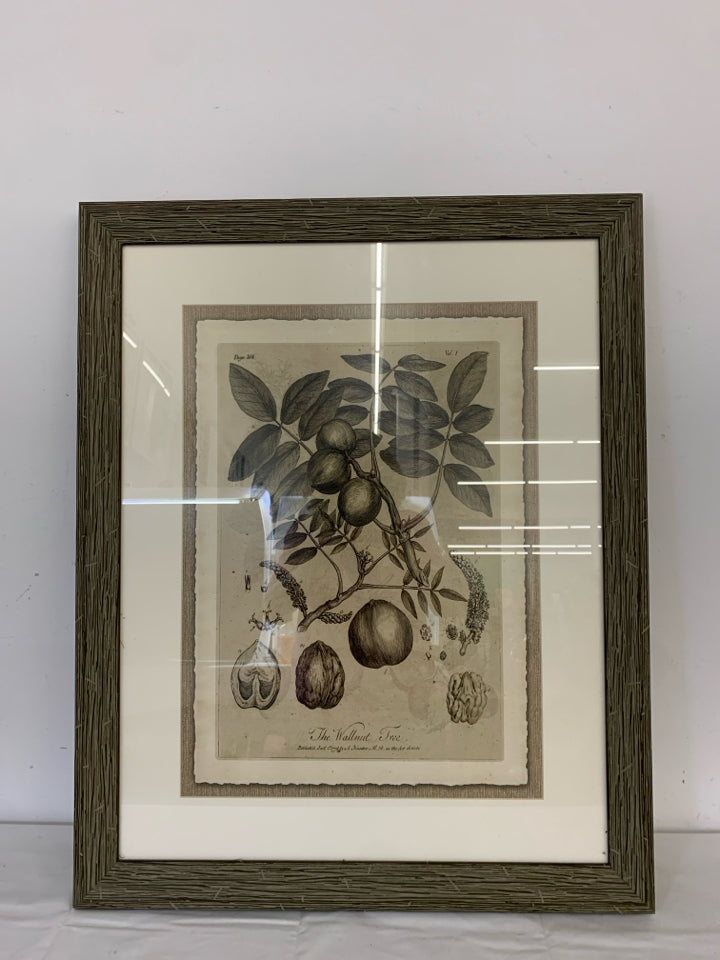 THE WALNUT TREE BLACK/WHITE LARGE WALL ART DISTRESSED FRAME.