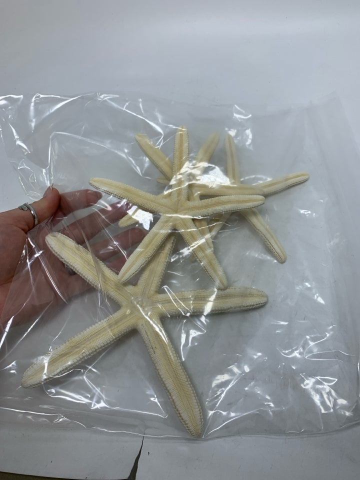 4 FINGER STARFISH IN BAG.
