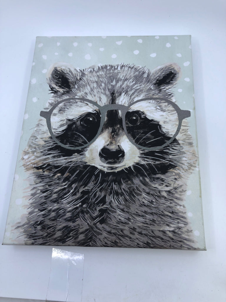 RACOON CANVAS W/ GLASSES.
