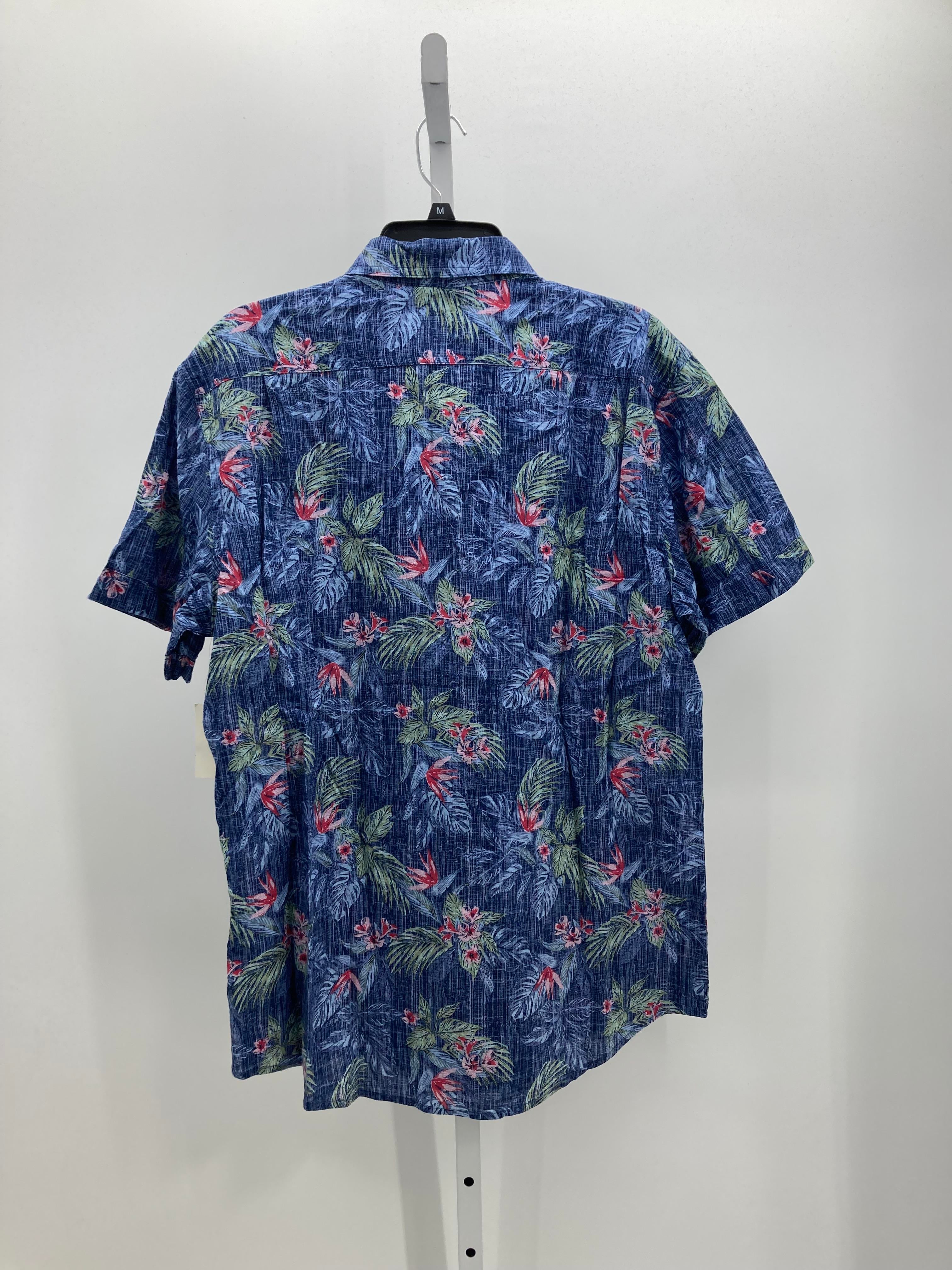 NEW TROPICAL BTR DOWN