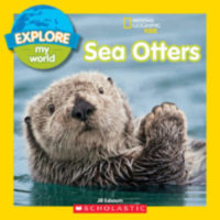 Sea Otters