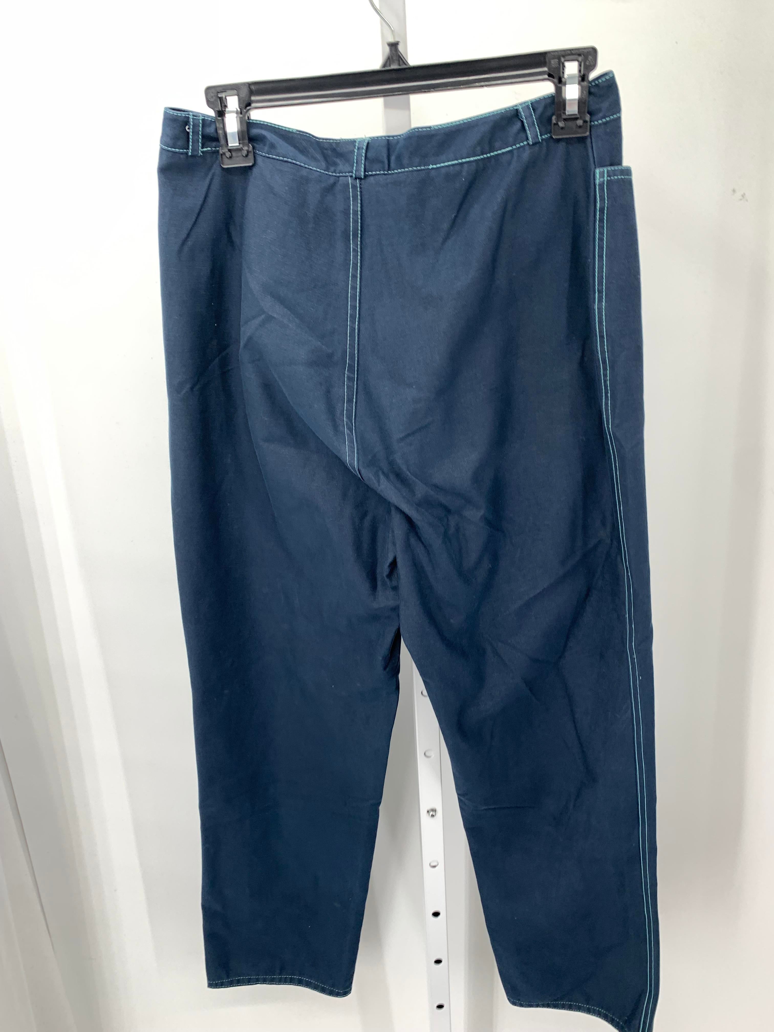 Size 12 Misses Pants