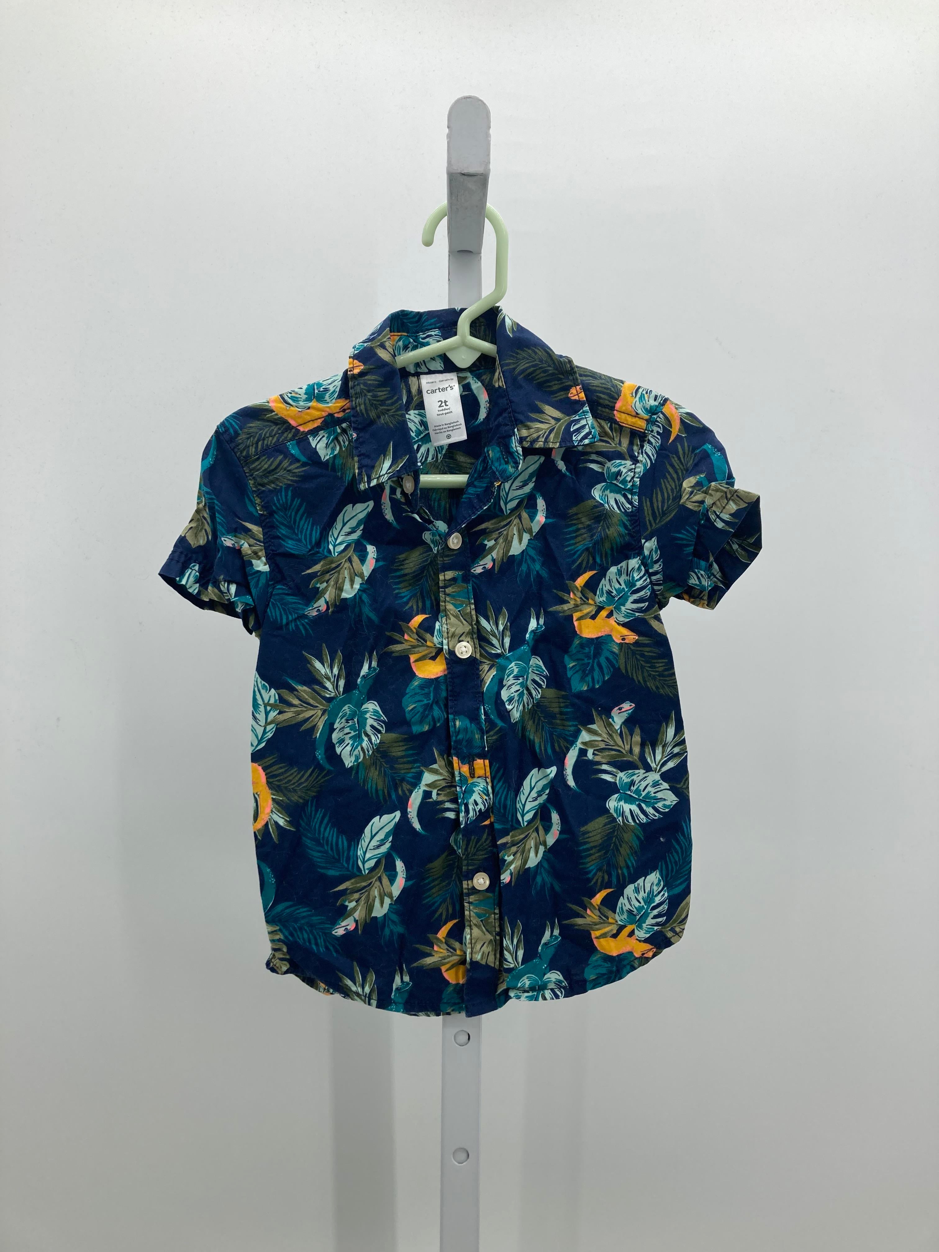 TROPICAL LIZARDS