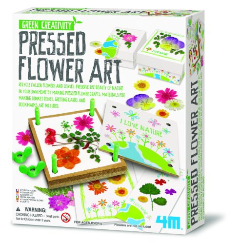 4M: Green Creativity Pressed Flower Art DIY Nature Crafts, Multi -