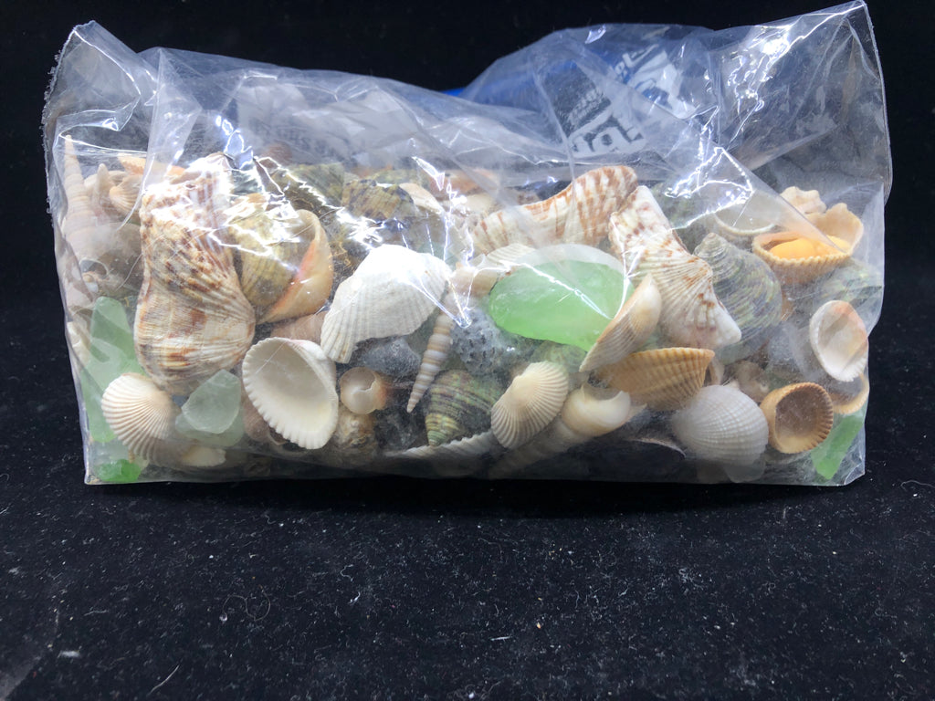 LARGE BAG ASSORTED SEA SHELLS & SEA GLASS.