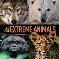 Face to Face: Extreme Animals Various Author -