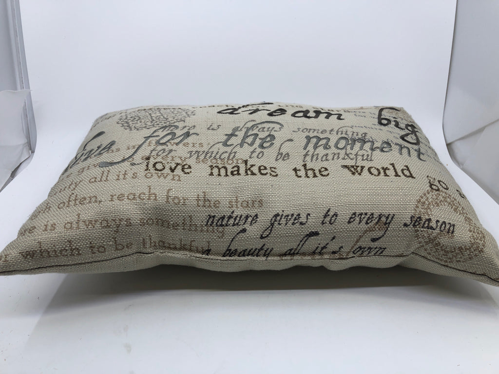 RECTANGLE PILLOW W SCRIPT "DREAM BIG".