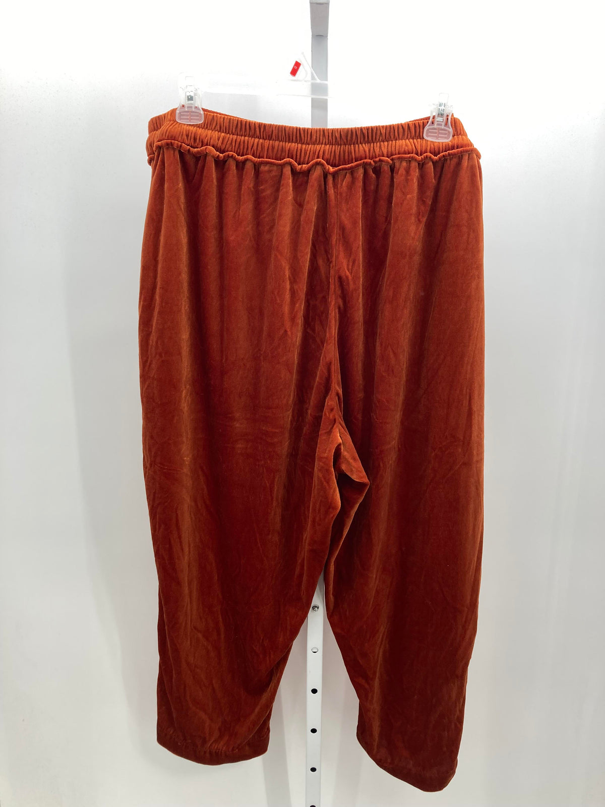 Size 3X Womens Pants