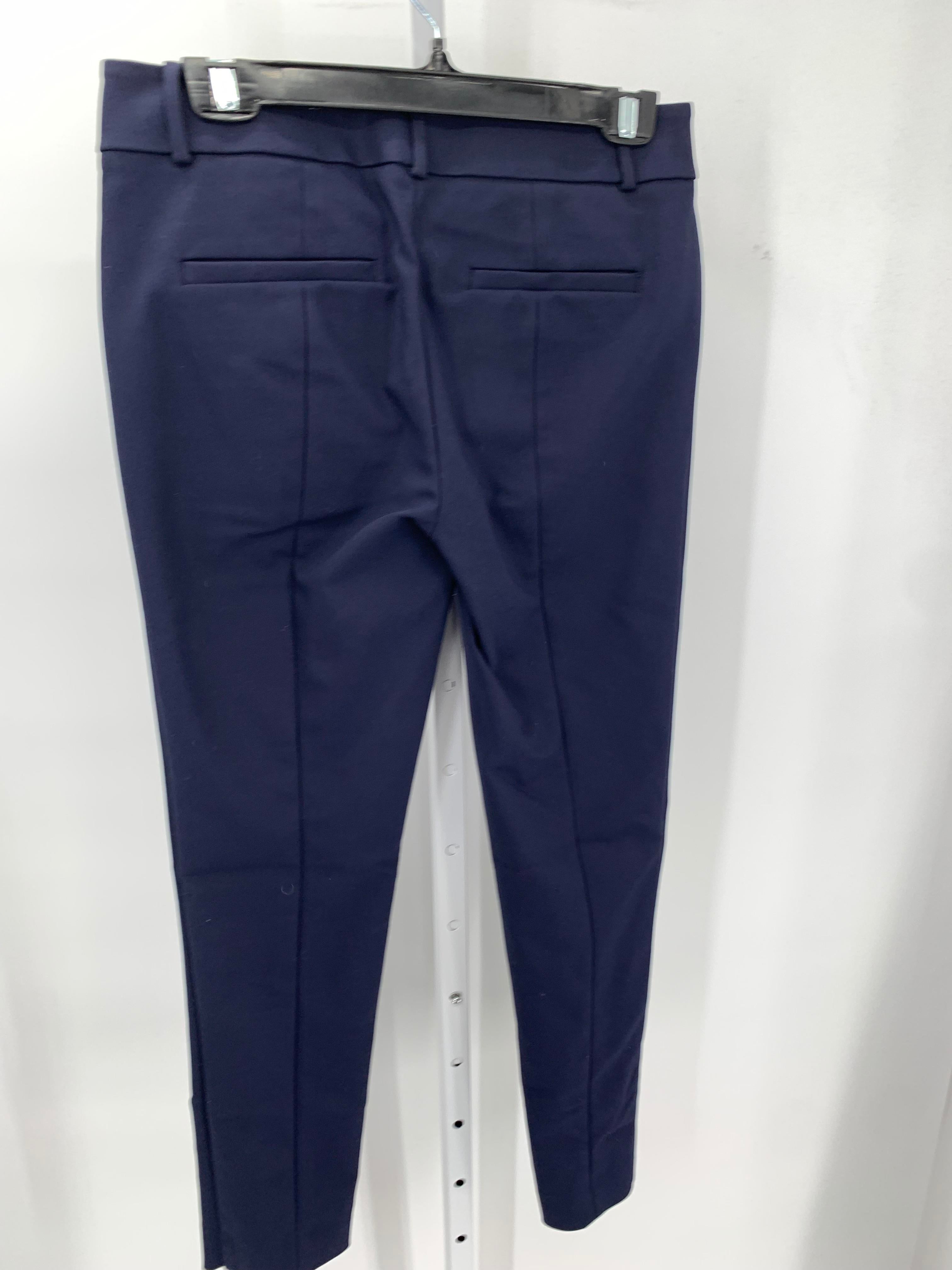 Loft Size 2 Misses Pants