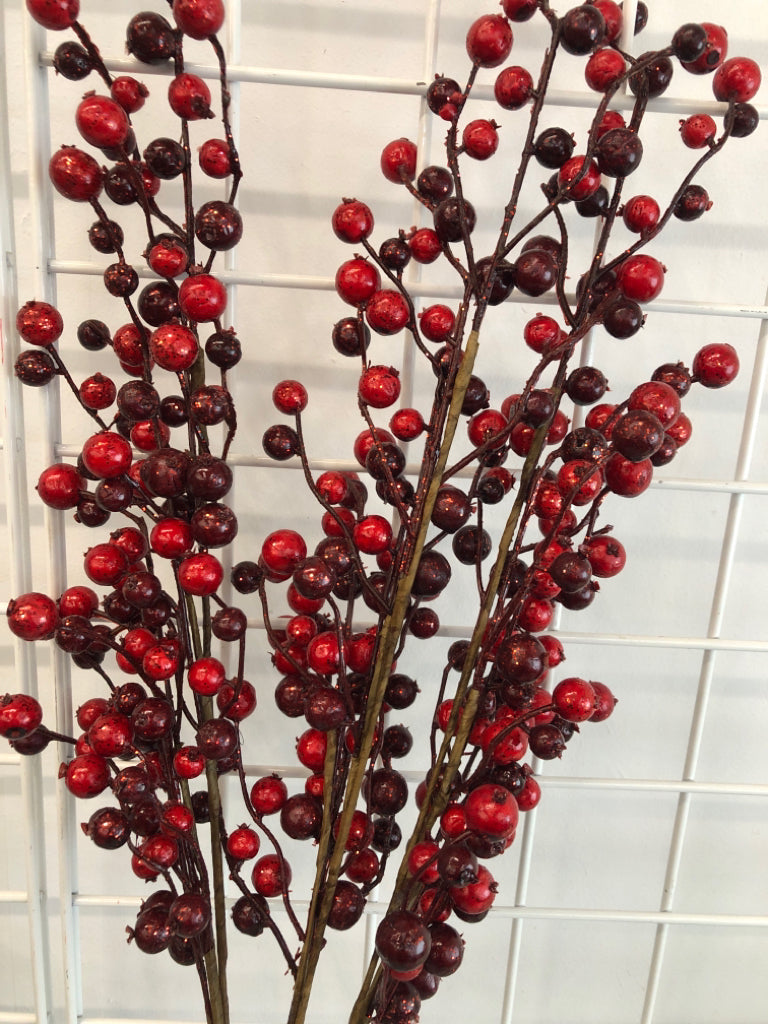 3 RED BERRY STEMS.