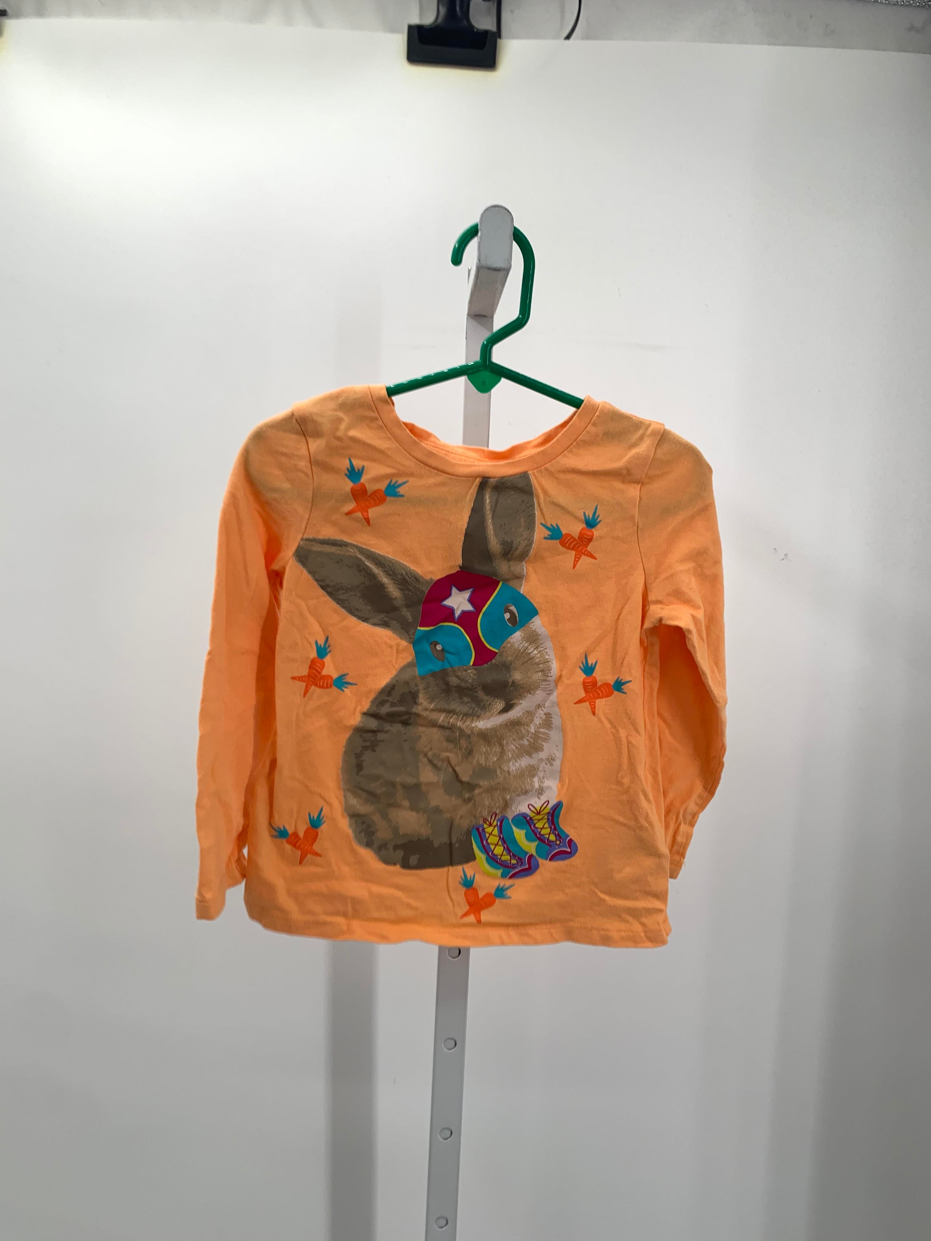 Size 4T Girls Long Sleeve Shirt