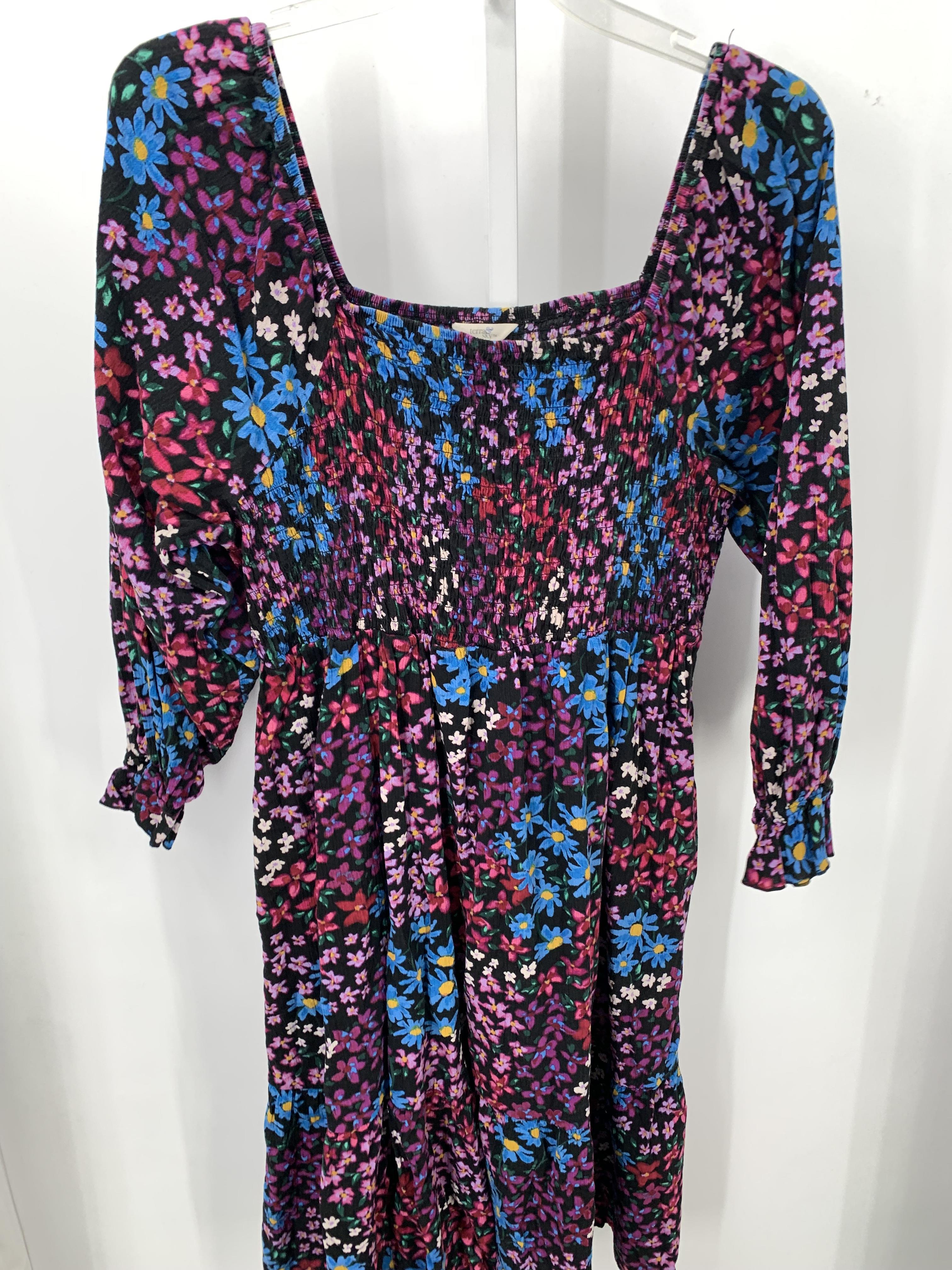 Terra & Sky Size 2X Womens Long Sleeve Dress