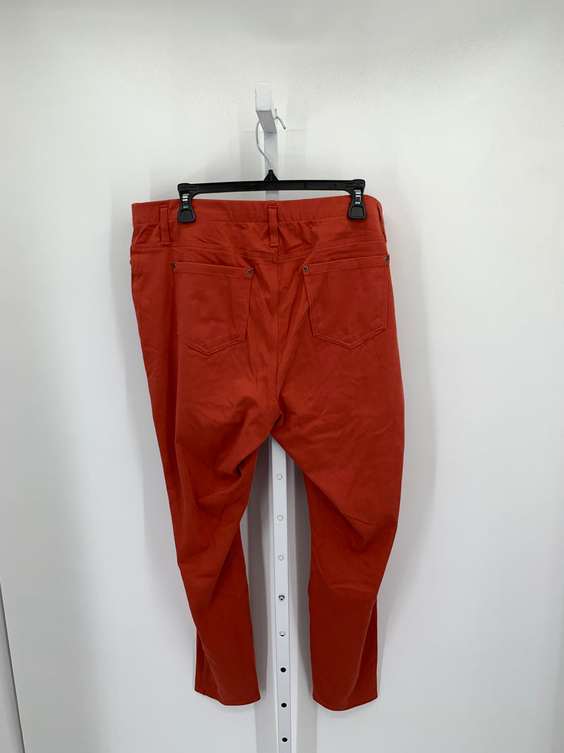 Terra & Sky Size 1X Womens Pants