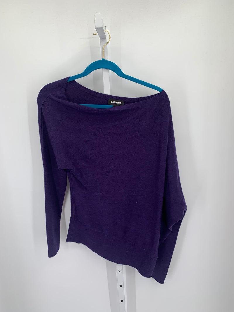 Express Size Medium Misses Long Slv Sweater