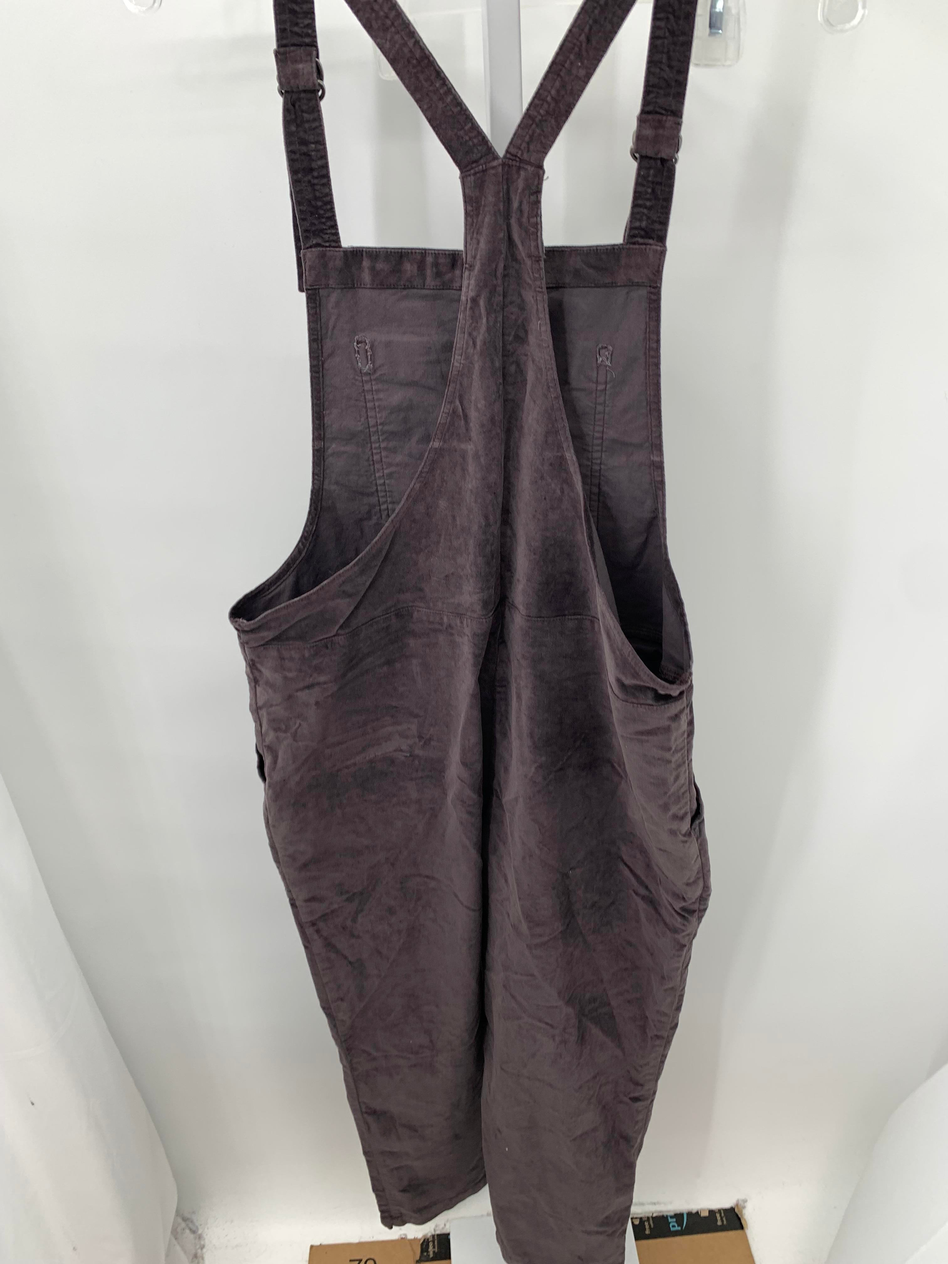 Aerie Size Medium Juniors Overalls