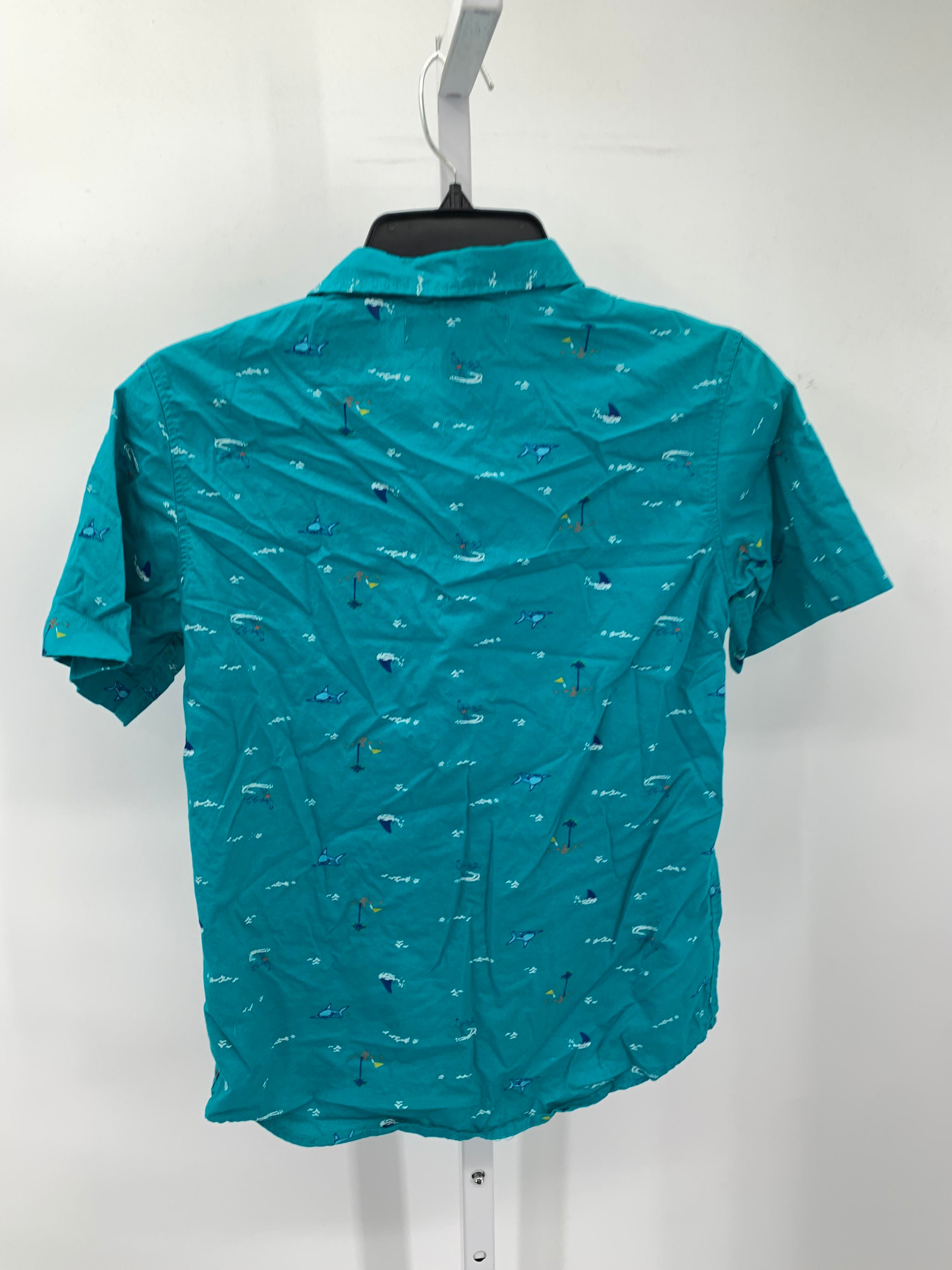 SHARKS SURFERS PALM TREES