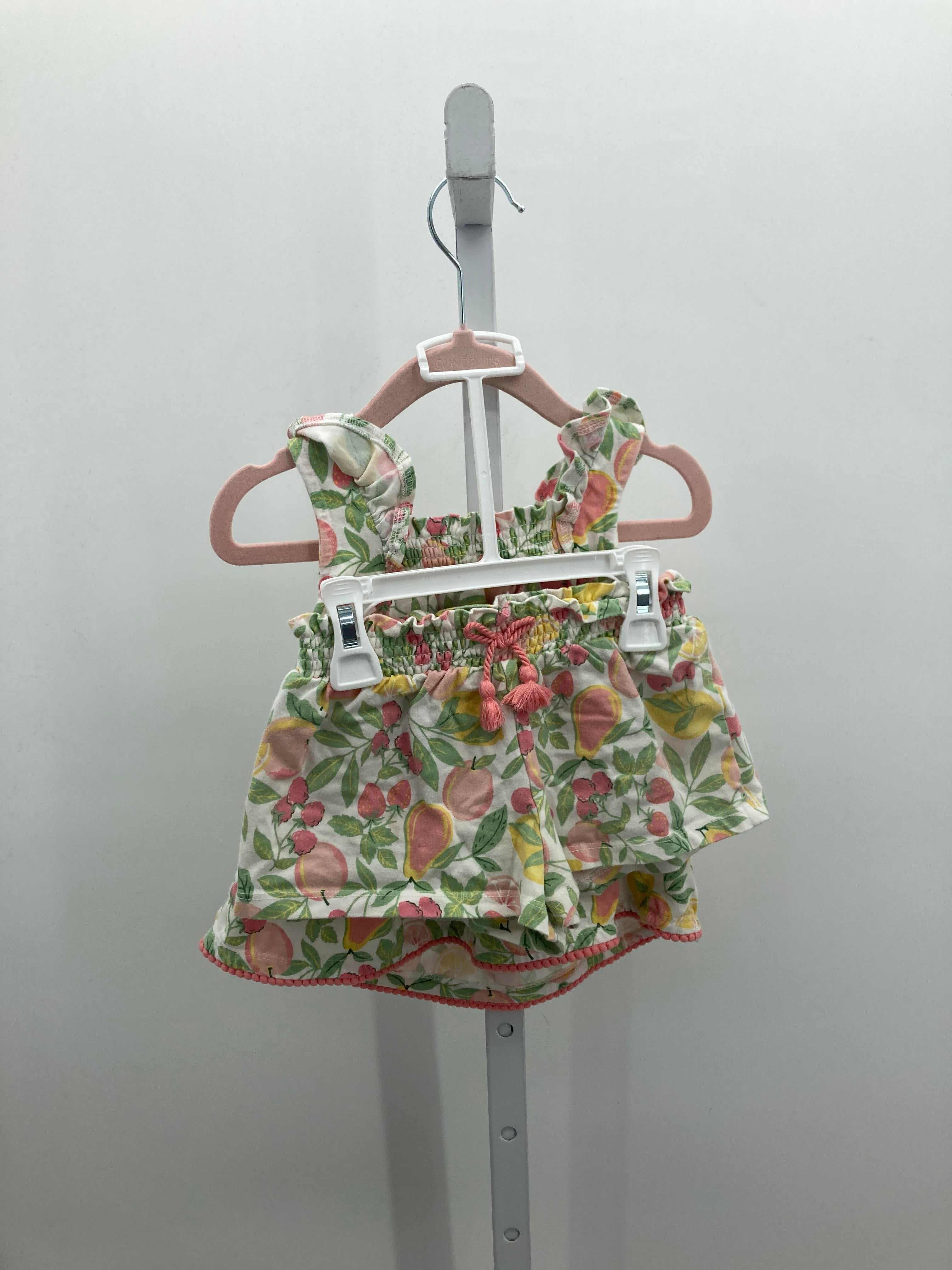 Size 24 Months Girls 2 Pieces