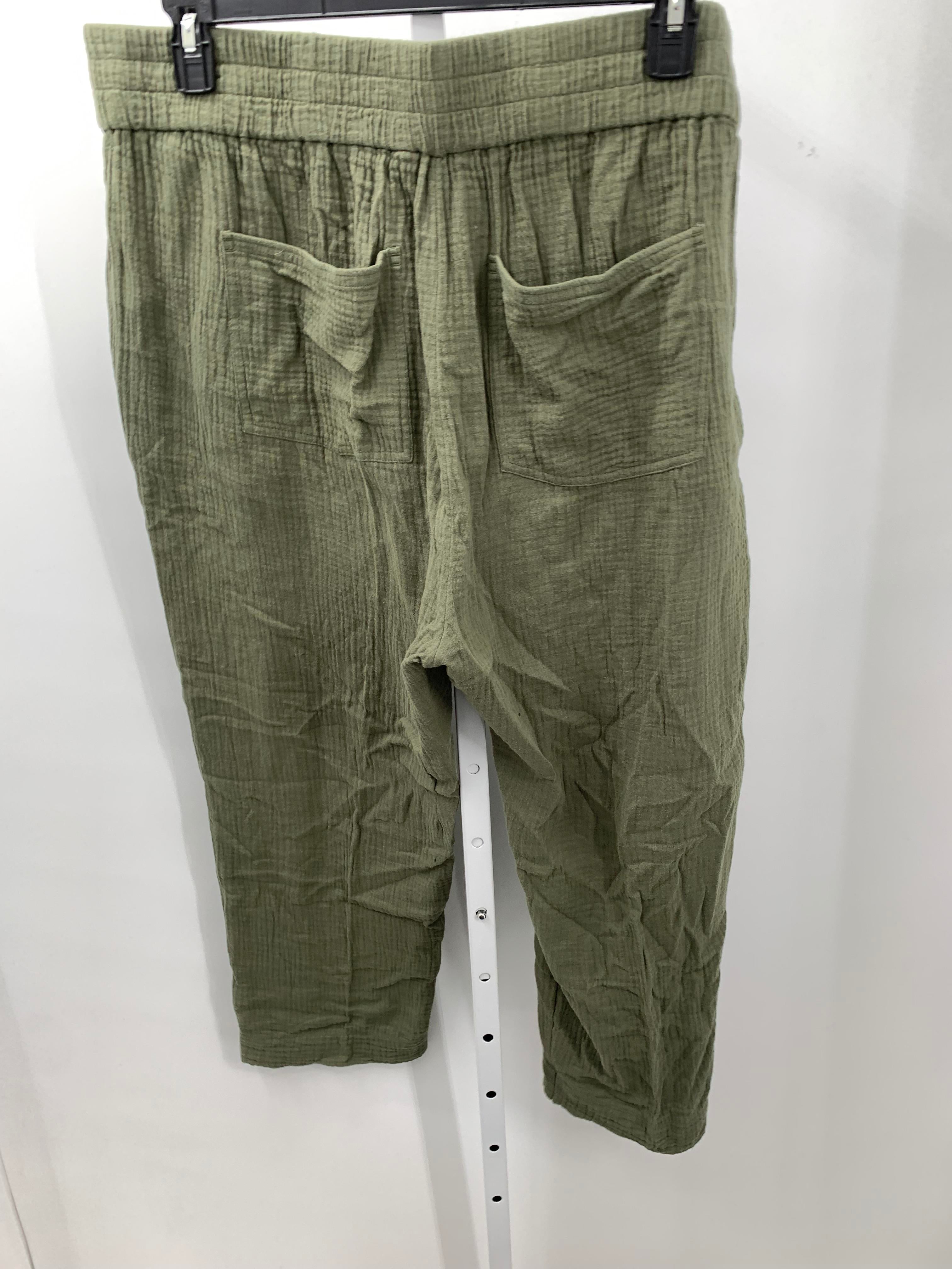 Soft Surroundings Size 1X Womens Pants