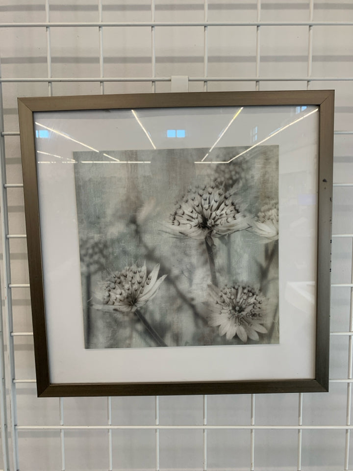 3 DANDELION PRINT IN GREY FRAME.