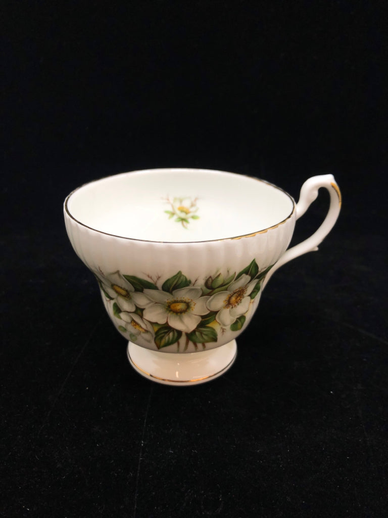 WHITE FLOWER TEA CUP & SAUCER - ROYAL DOVER.