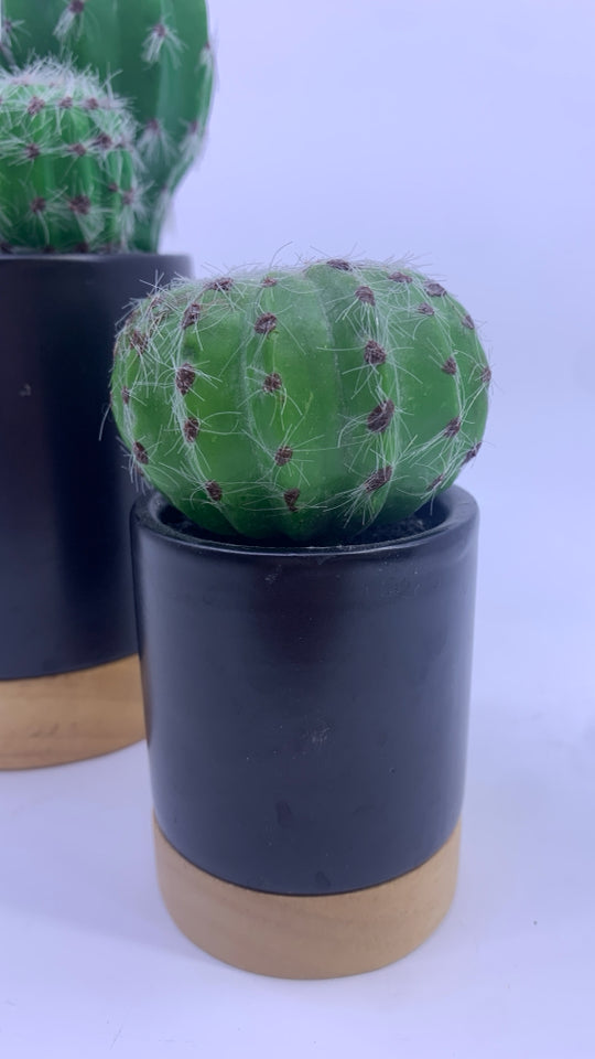 2 PC FAUX CACTI IN BLACK PLANTERS W/ WOOD BOTTOM.