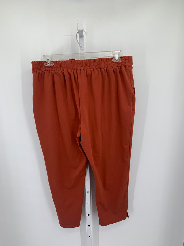 Rachel Zoe Size Extra Large Misses Pants