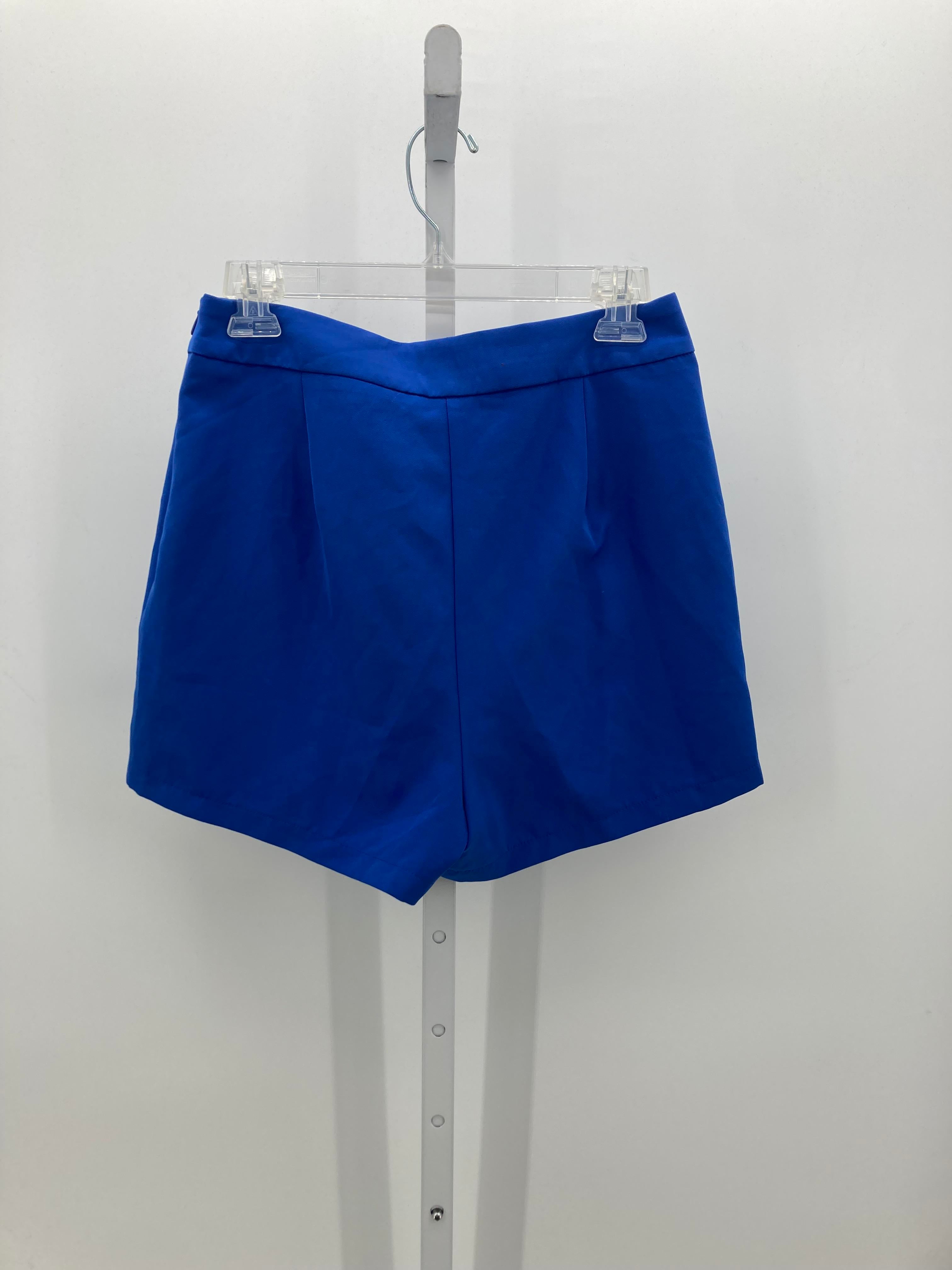 Size Large Juniors Skirt