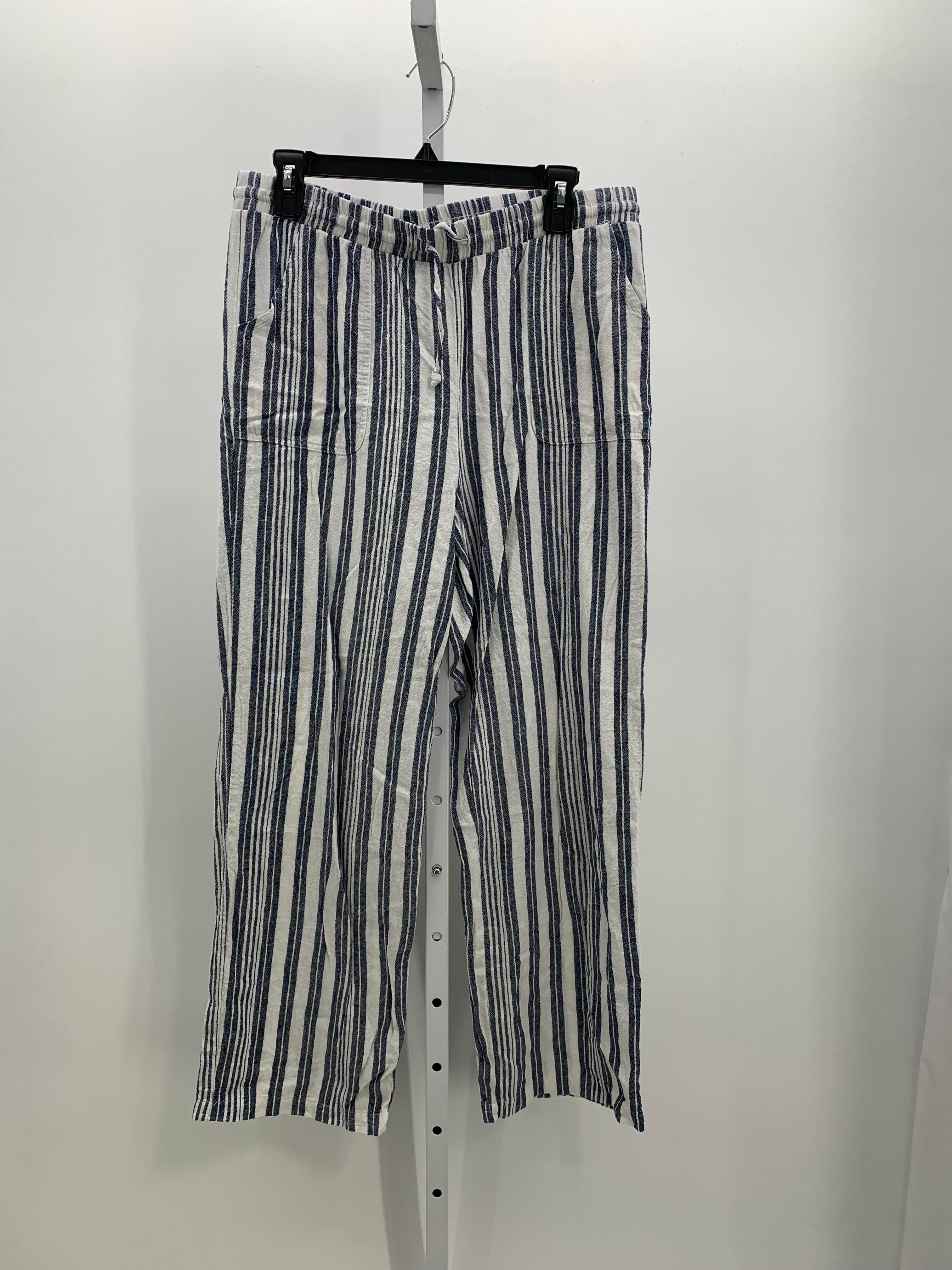 db Size Medium Misses Pants