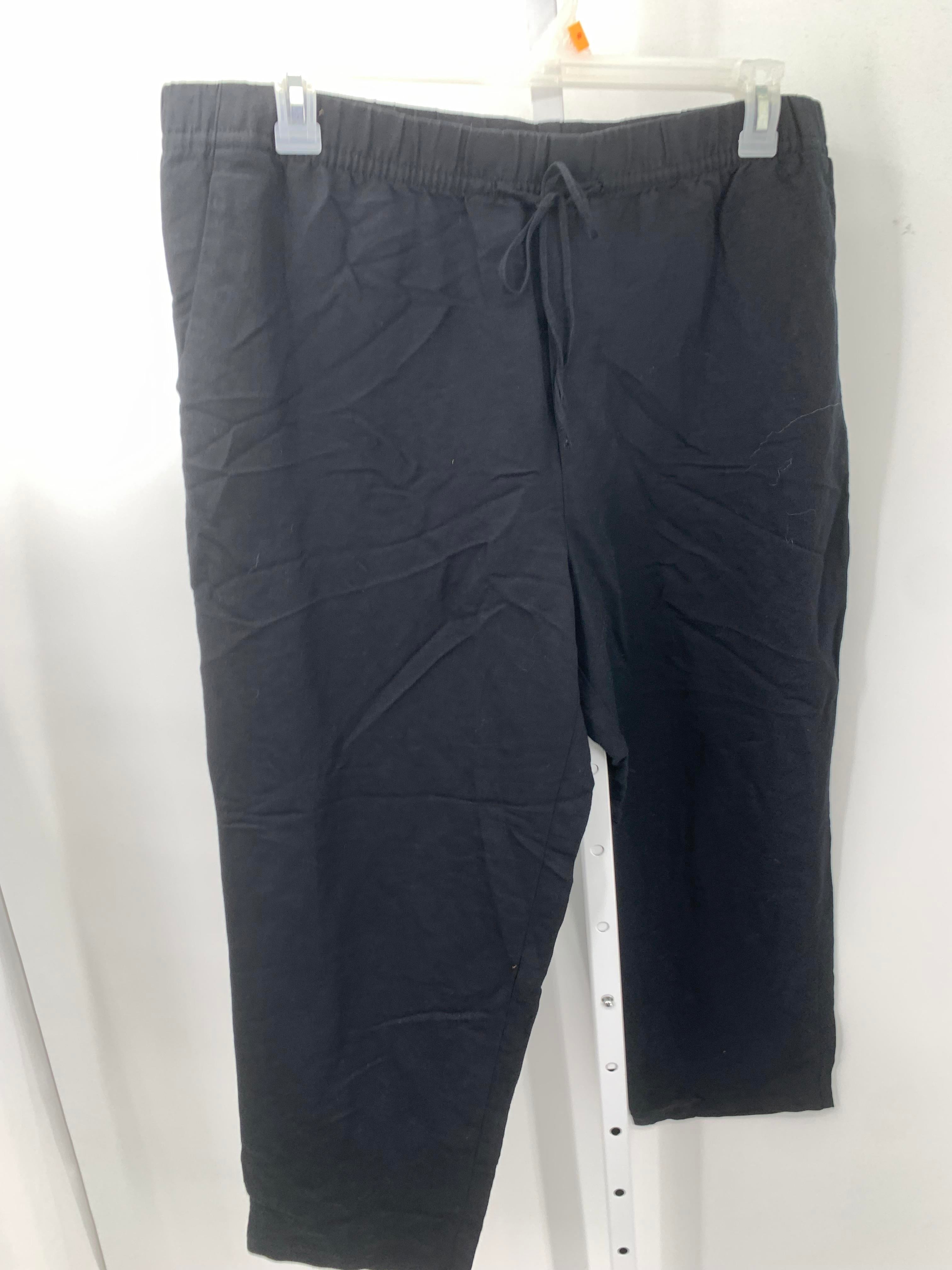 H&M Size Extra Large Misses Pants
