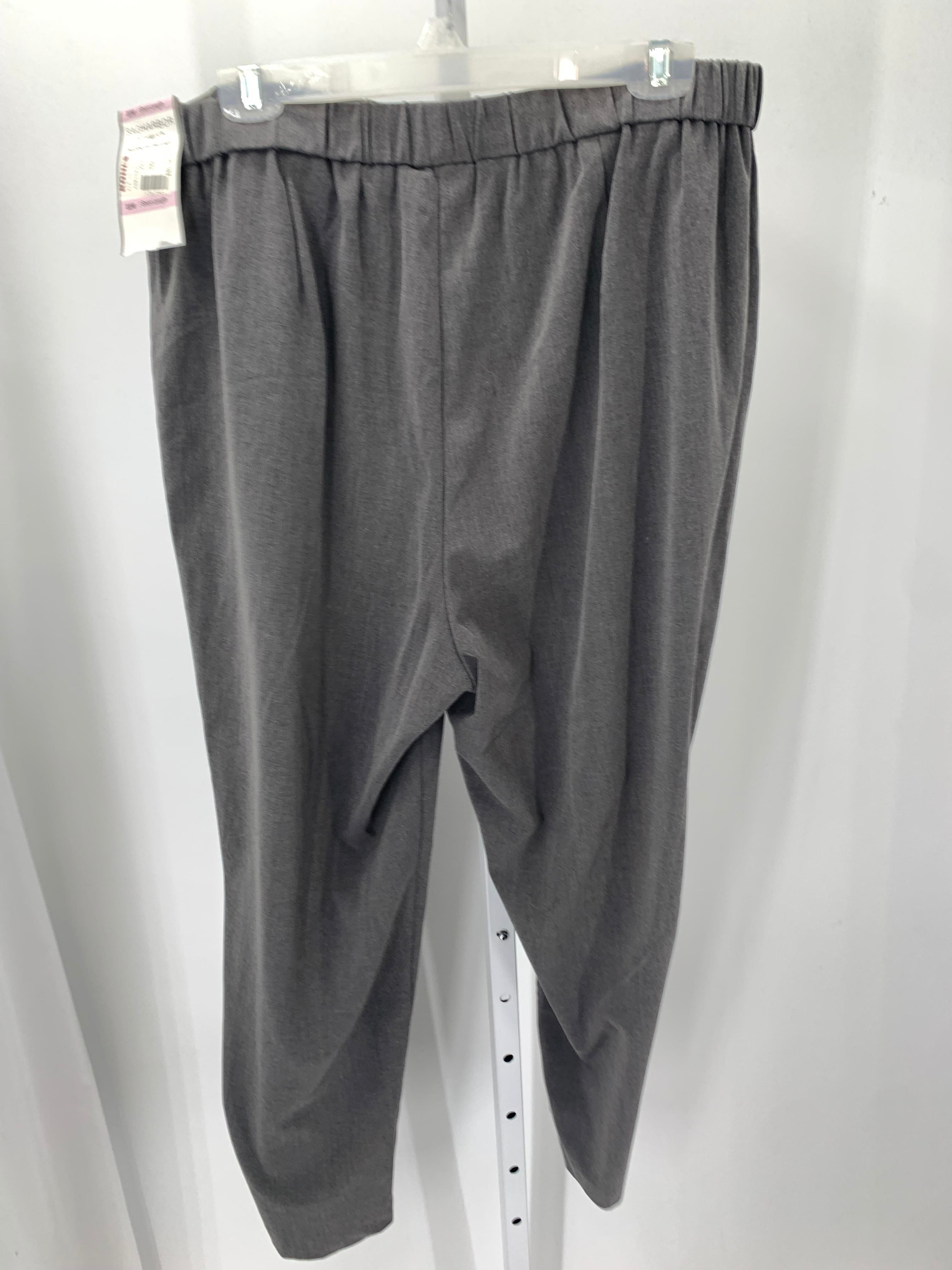 Sag Harbor Size 22 W Womens Pants