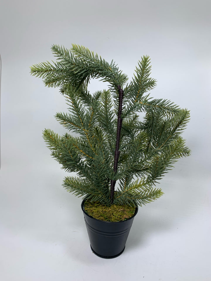 SMALL FAUX PINE TREE IN BLACK PLANTER.