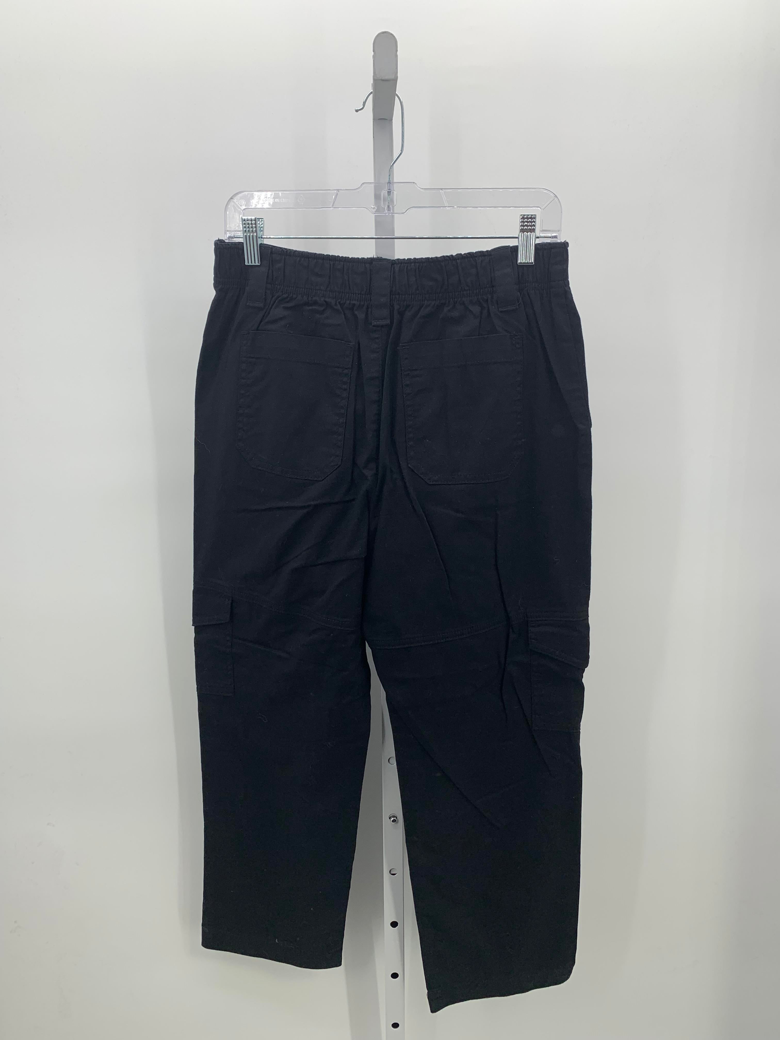 Loft Size 8 Petite Petite Pants