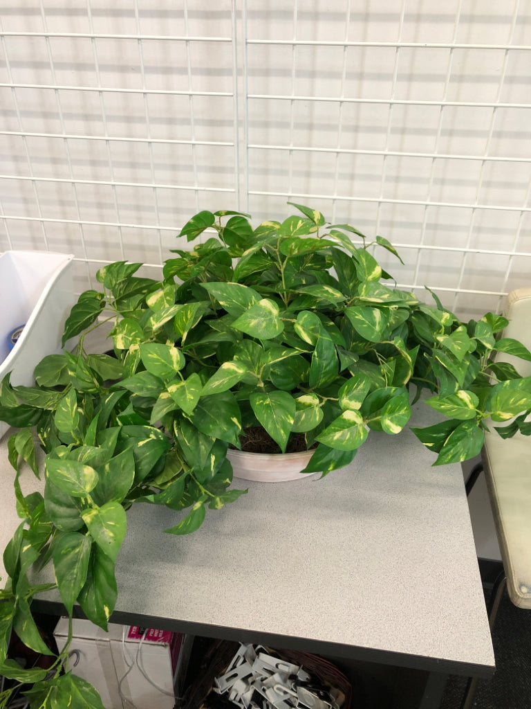 CASCADING GREENERY.