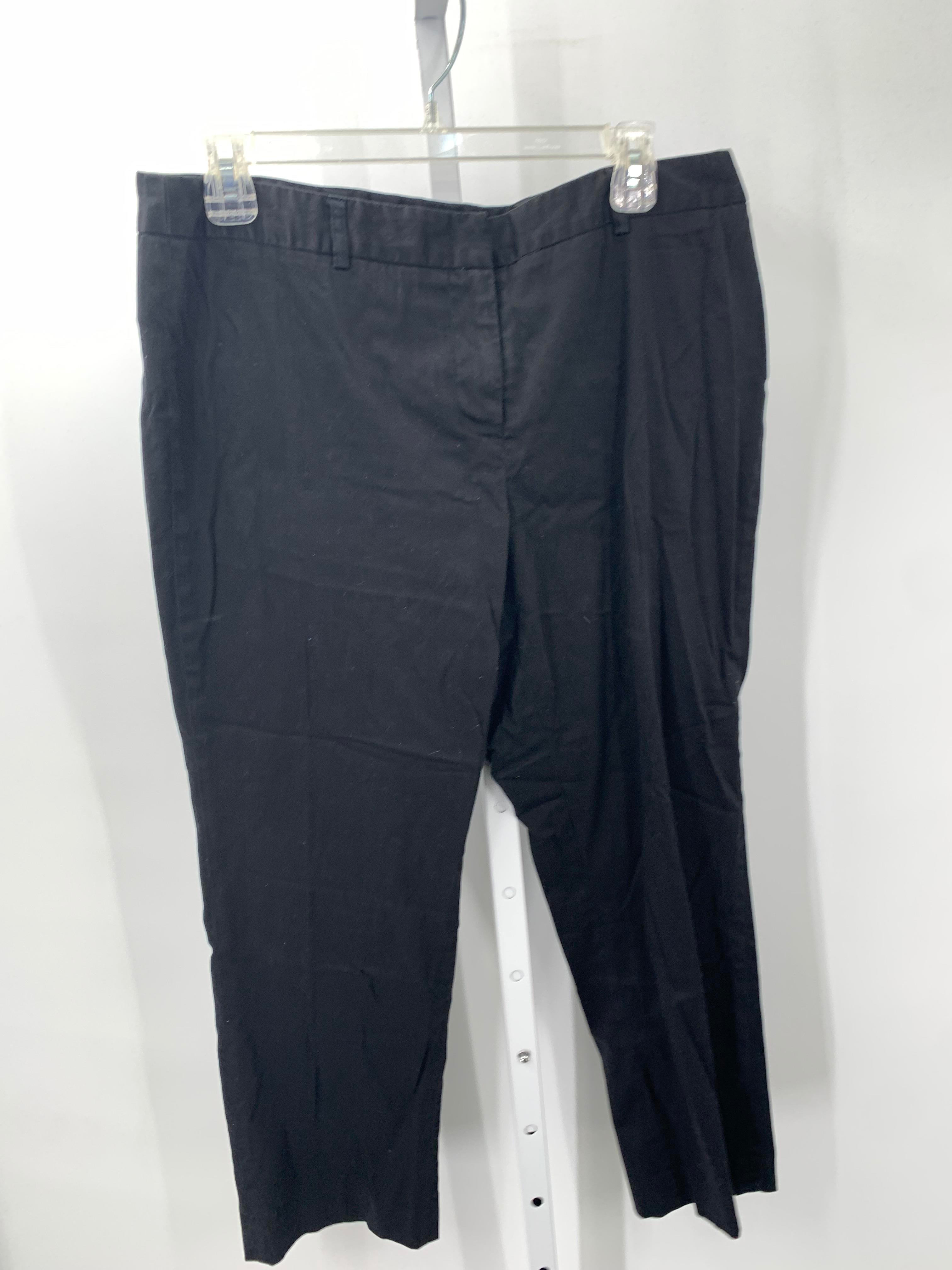 Size 12 Misses Pants