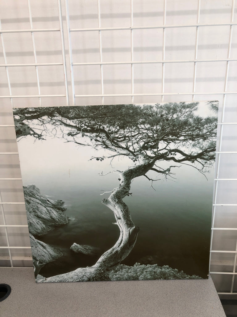 ZIGZAG BIRCH TREE PRINT WALL HANGING.