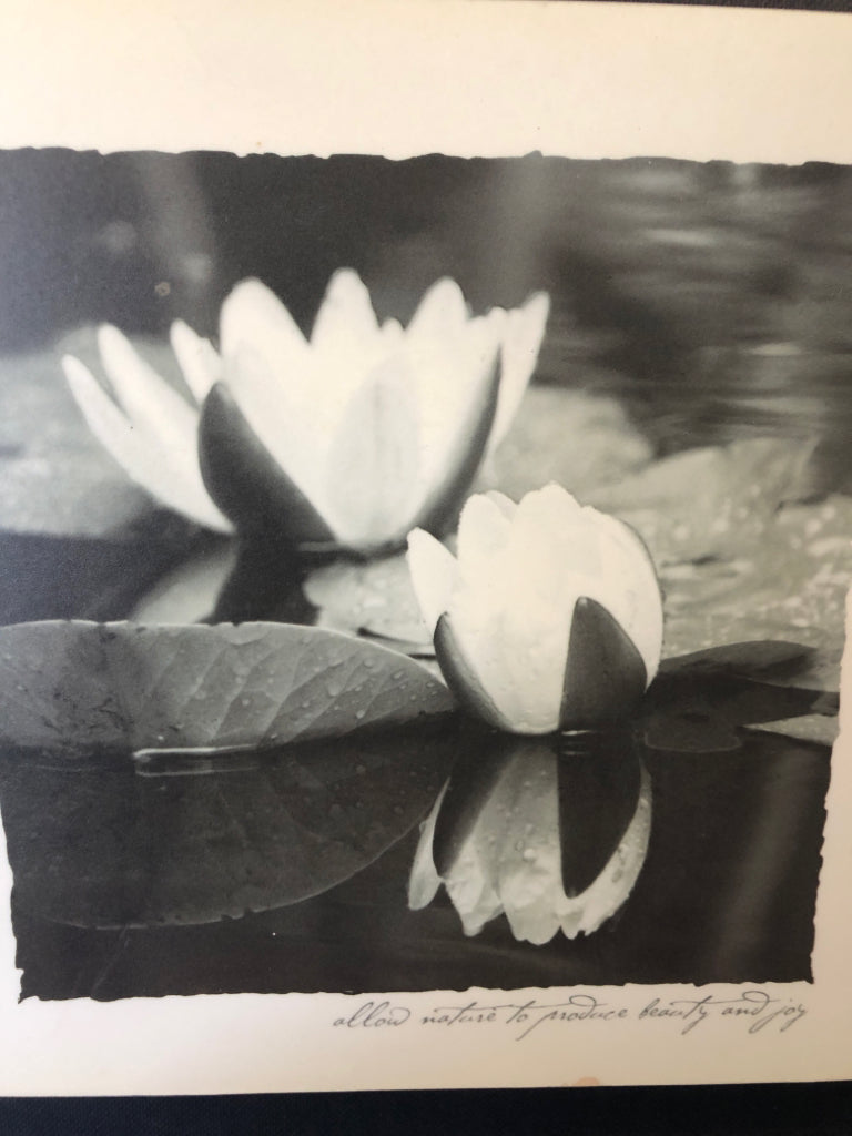 LILY PADS IN BLACK FRAME WALL ART.