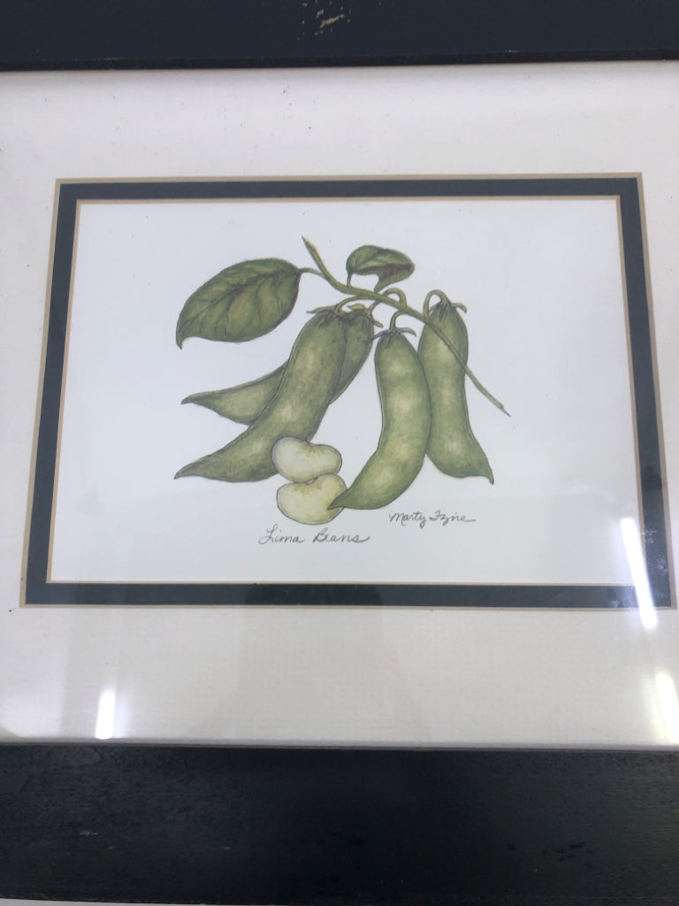 LIMA BEANS VEGETABLE WALL ART IN BLACK FRAME.