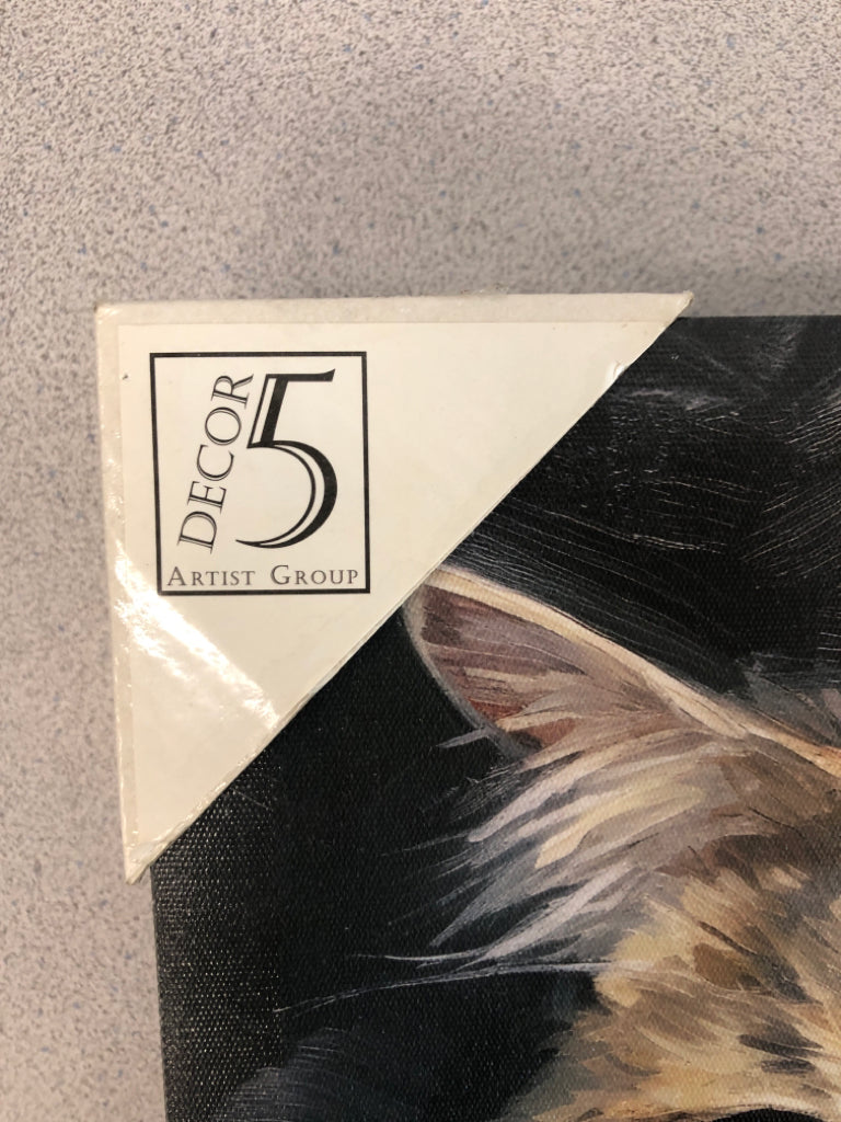 GRUMPY CAT CANVAS.