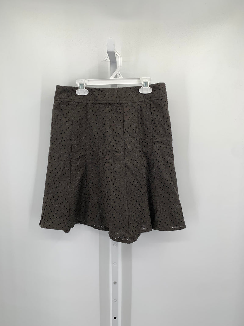 Ann Taylor Size 4 Petite Petite Skirt